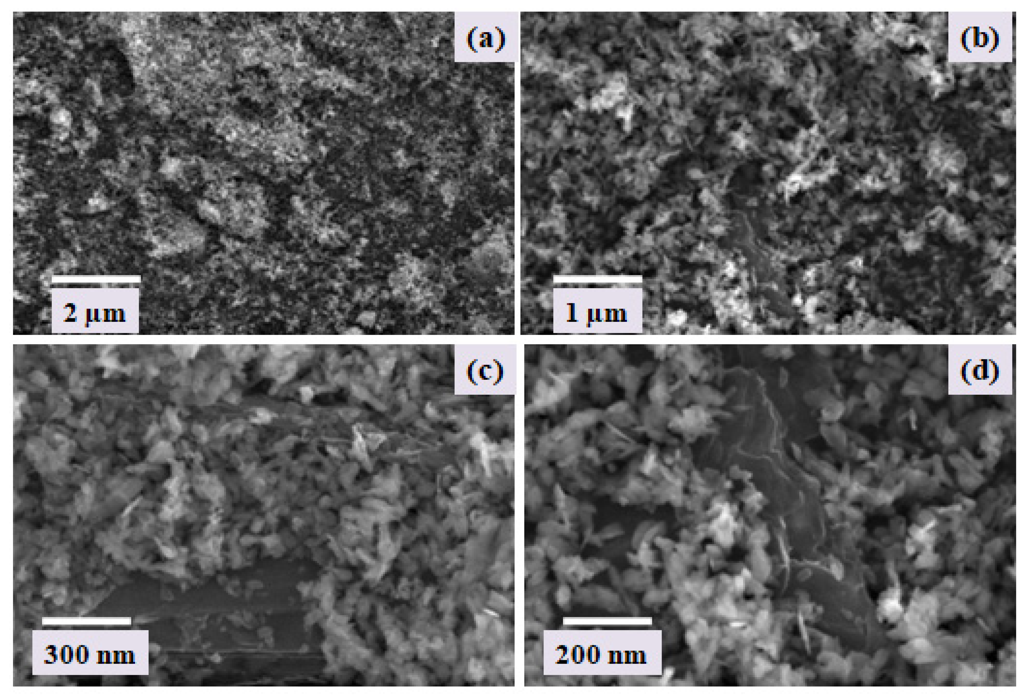 Catalysts 11 01008 g002 550