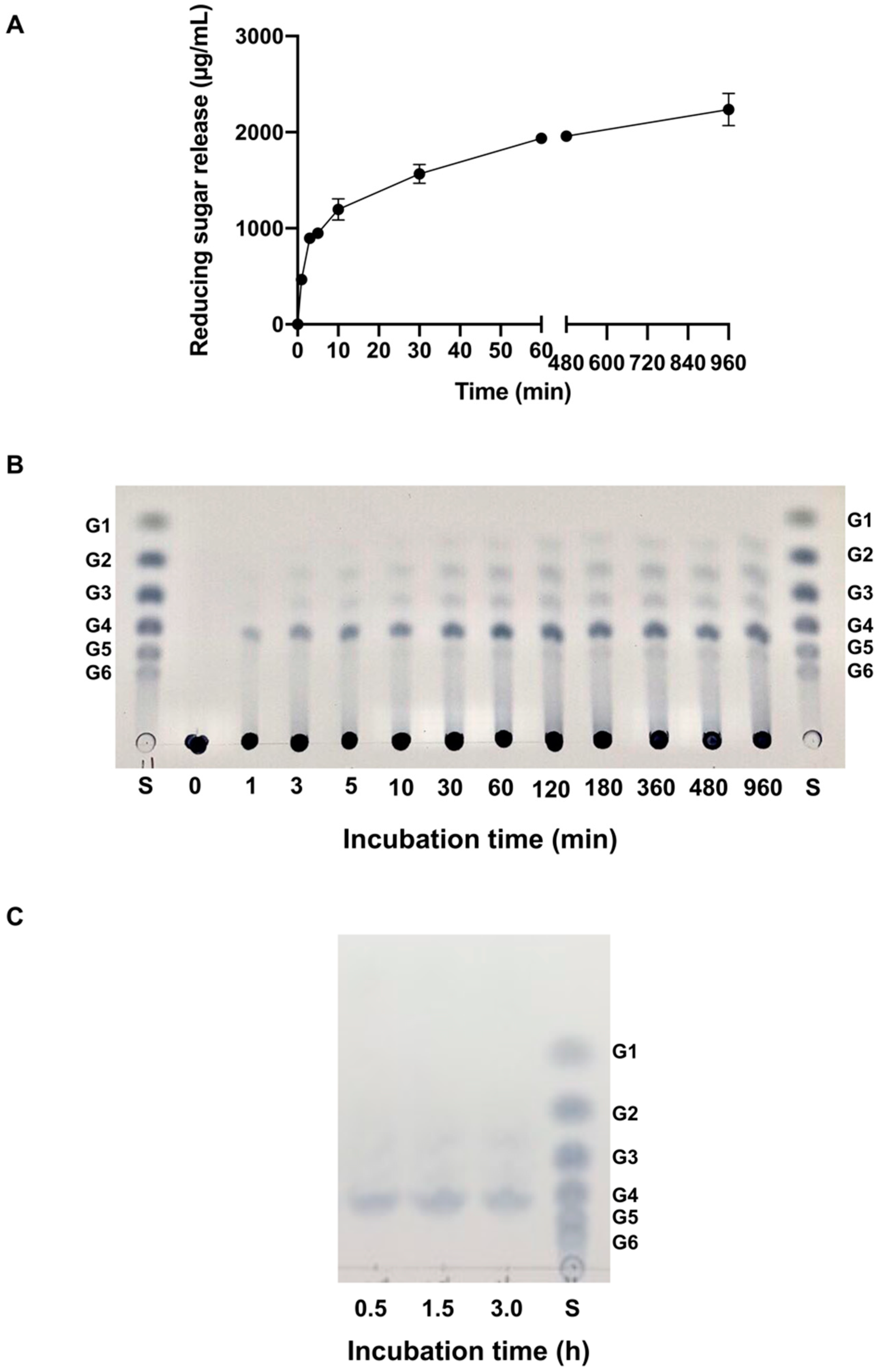 Catalysts 11 01011 g004