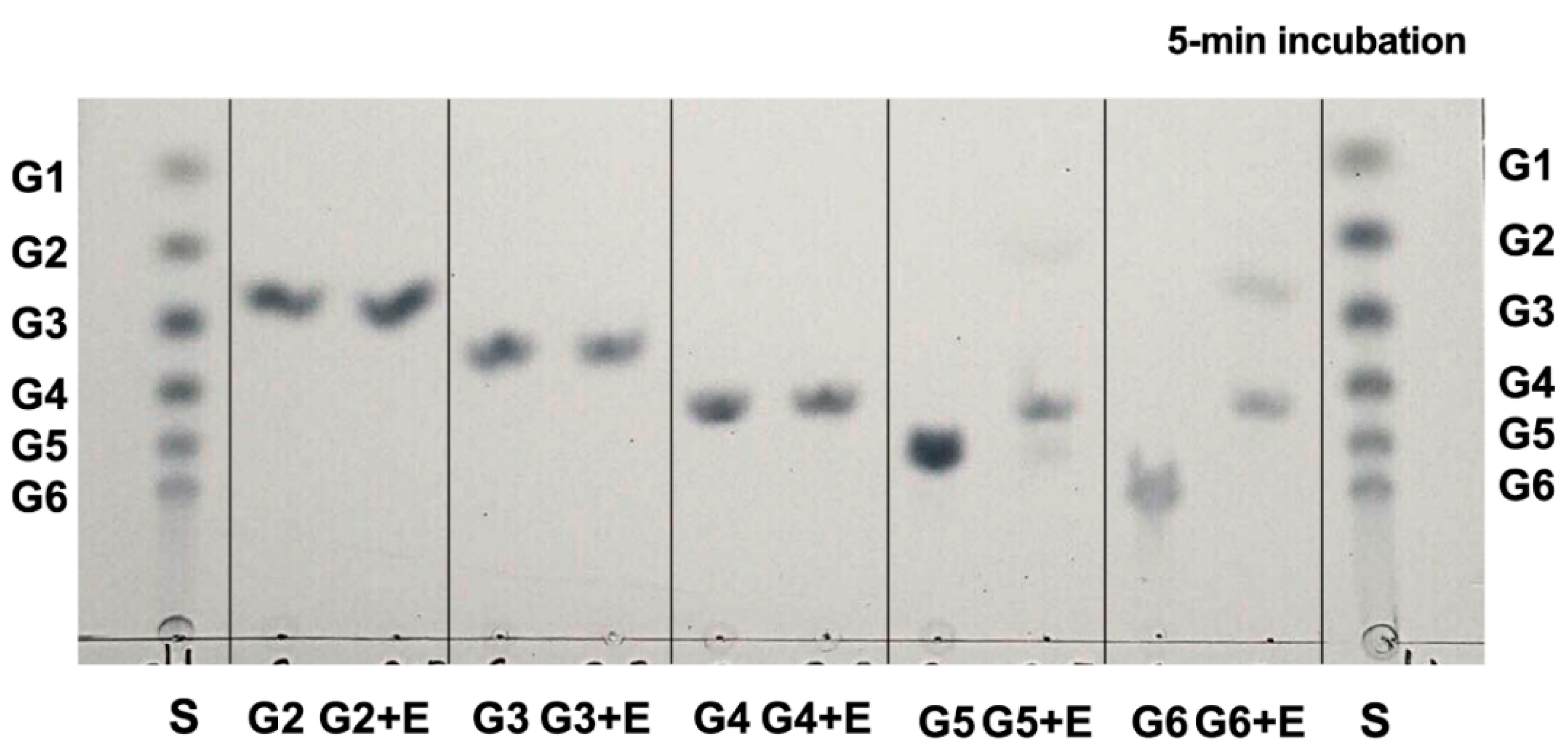 Catalysts 11 01011 g005