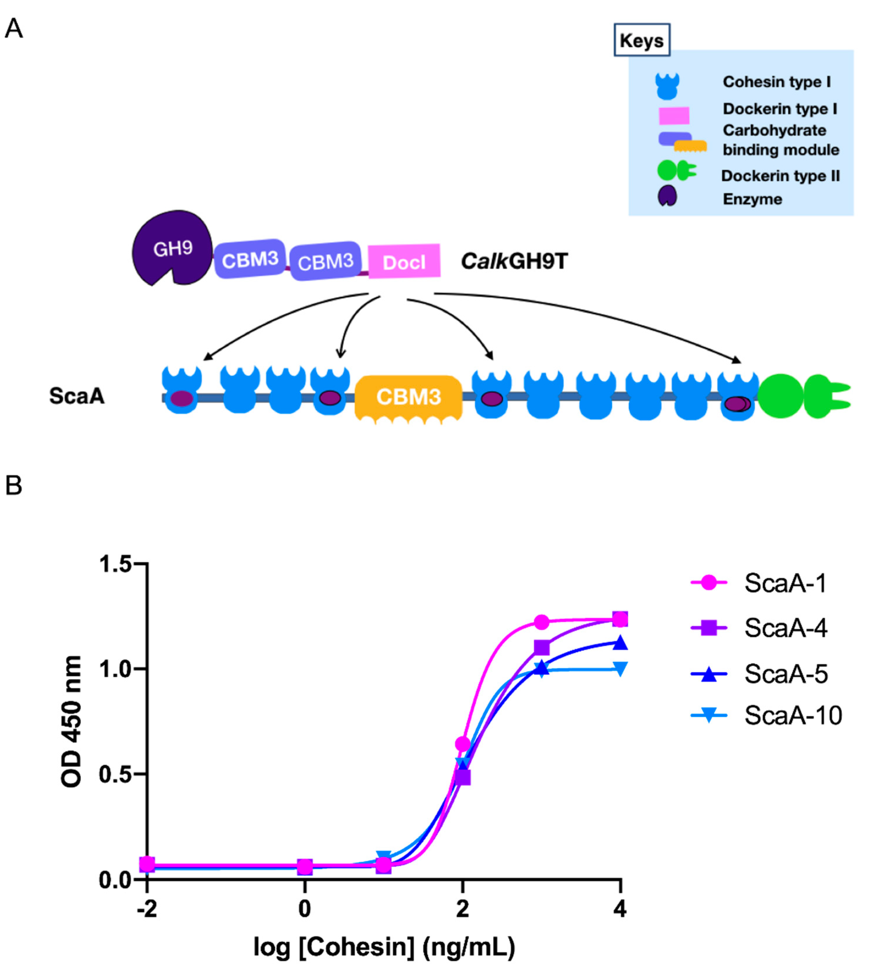 Catalysts 11 01011 g006