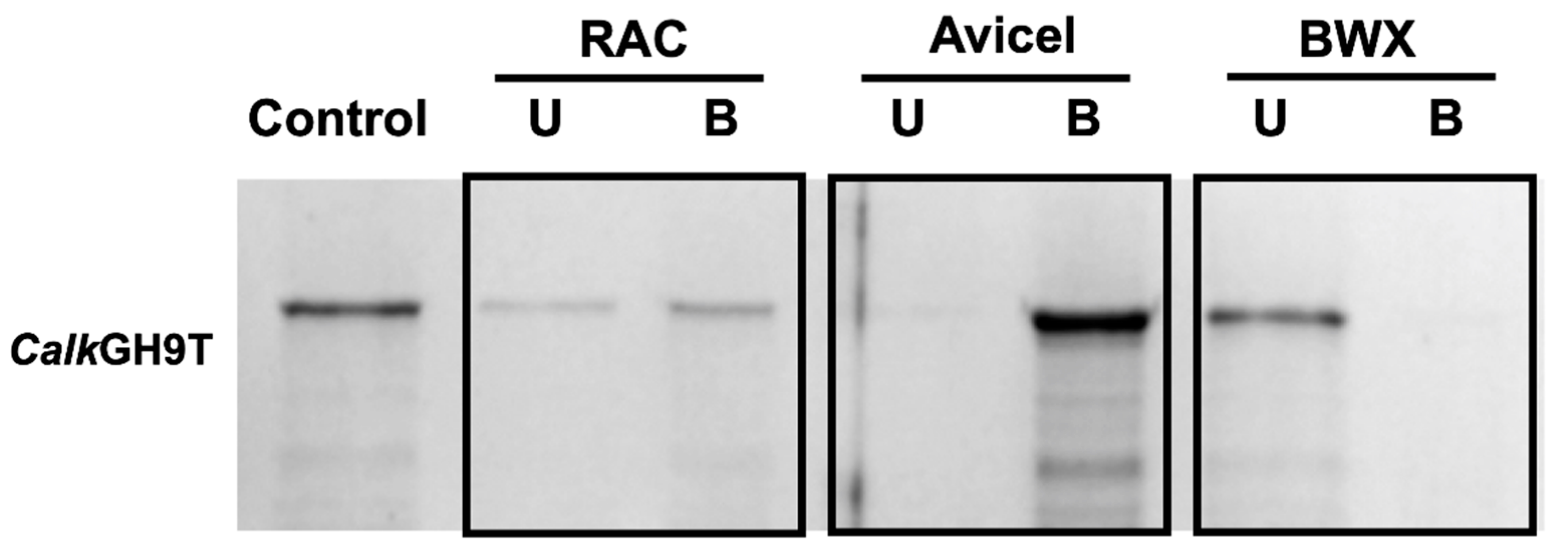Catalysts 11 01011 g007