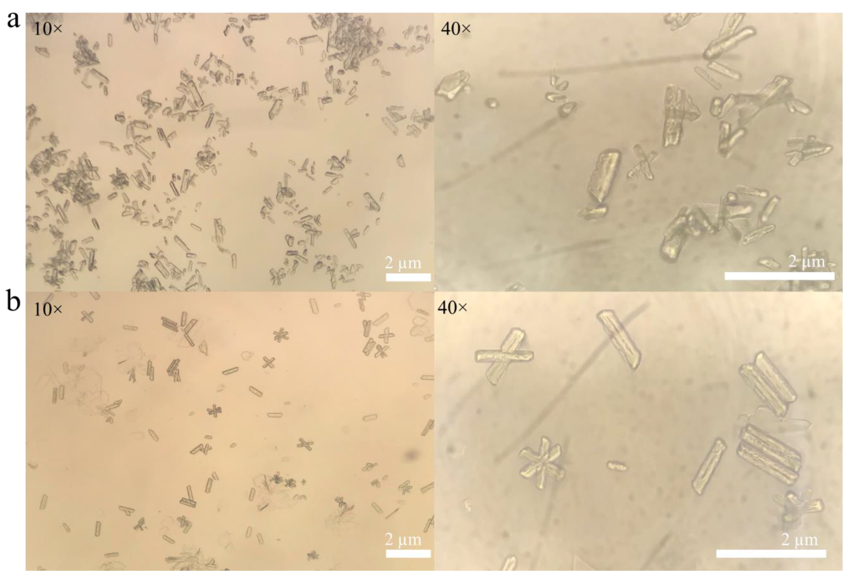 Catalysts 11 01012 g005 550