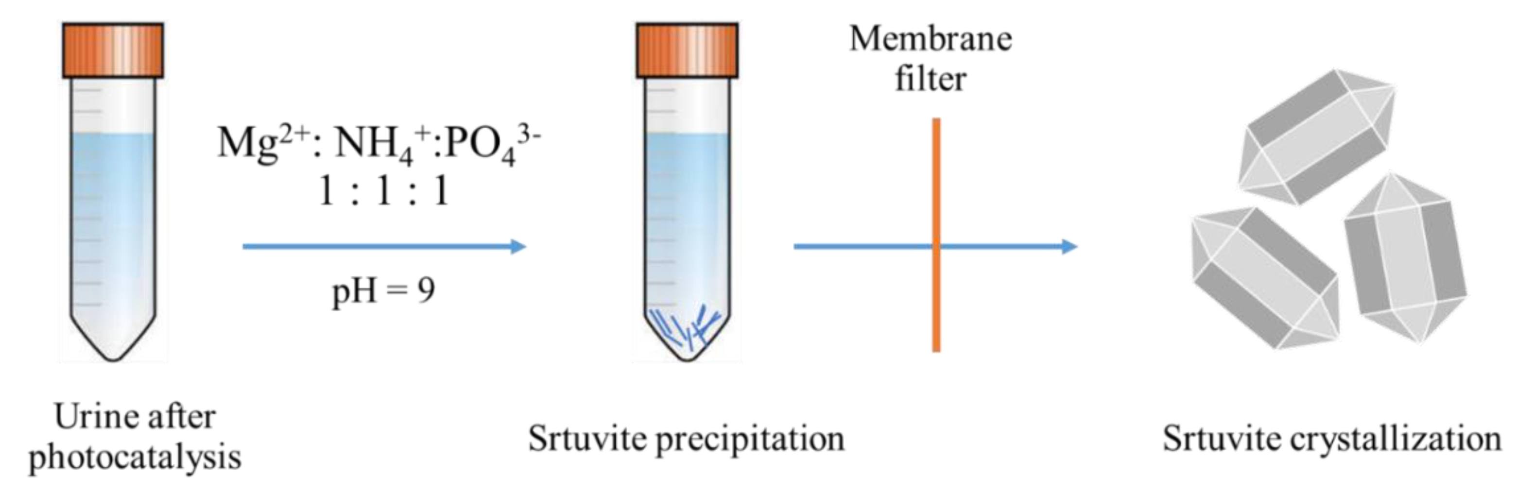 Catalysts 11 01012 g008 550