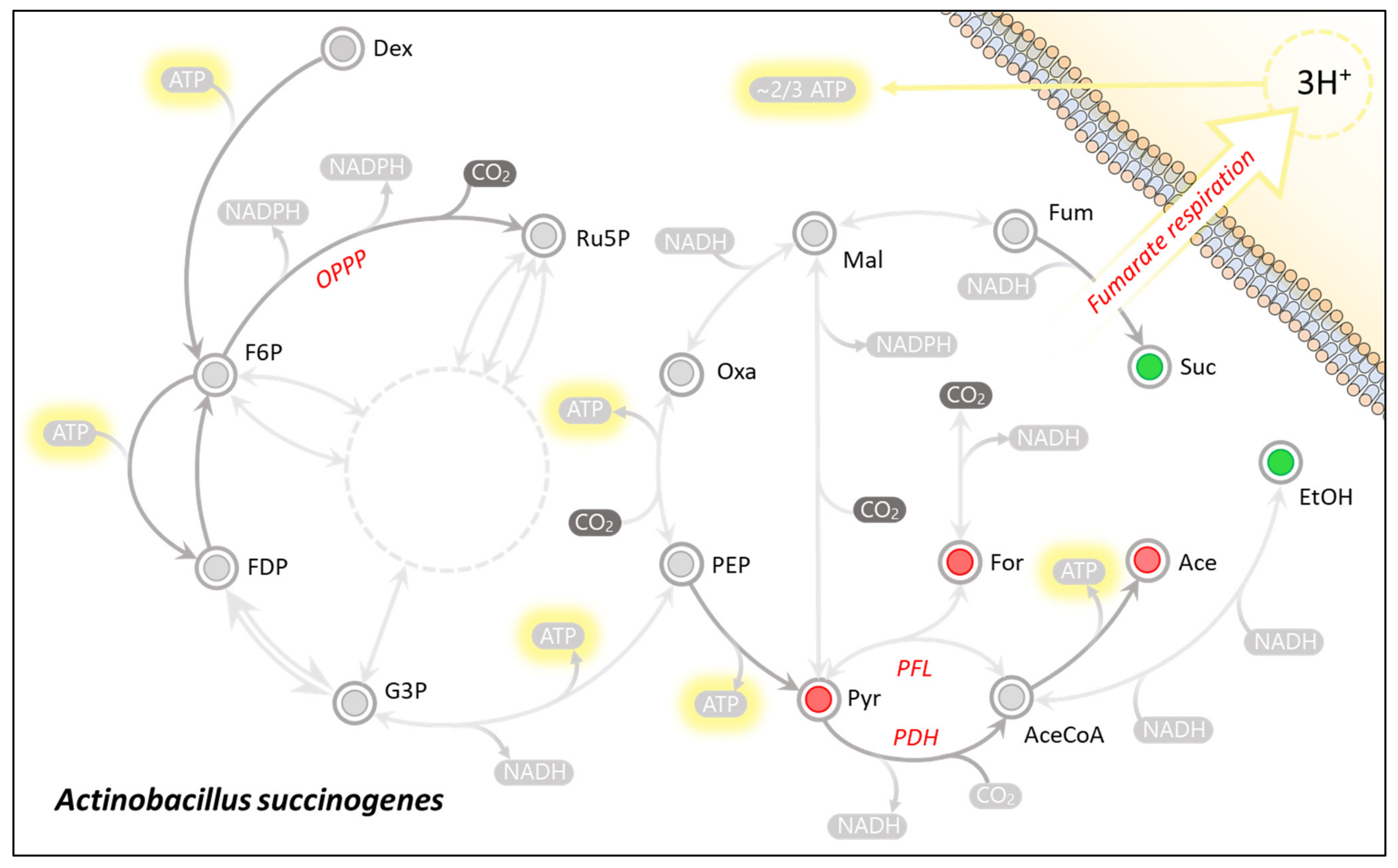Catalysts 11 01016 g003