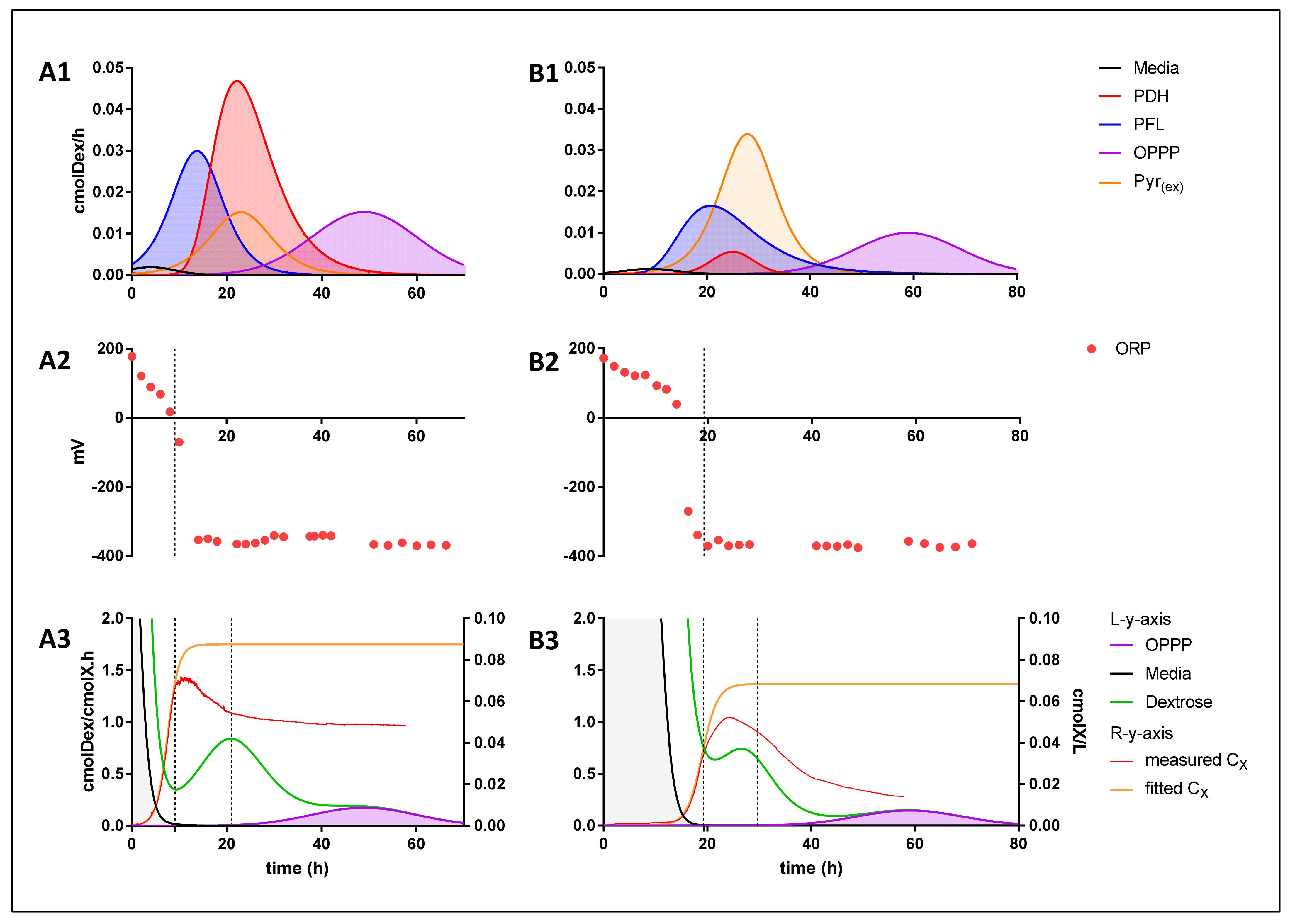 Catalysts 11 01016 g005