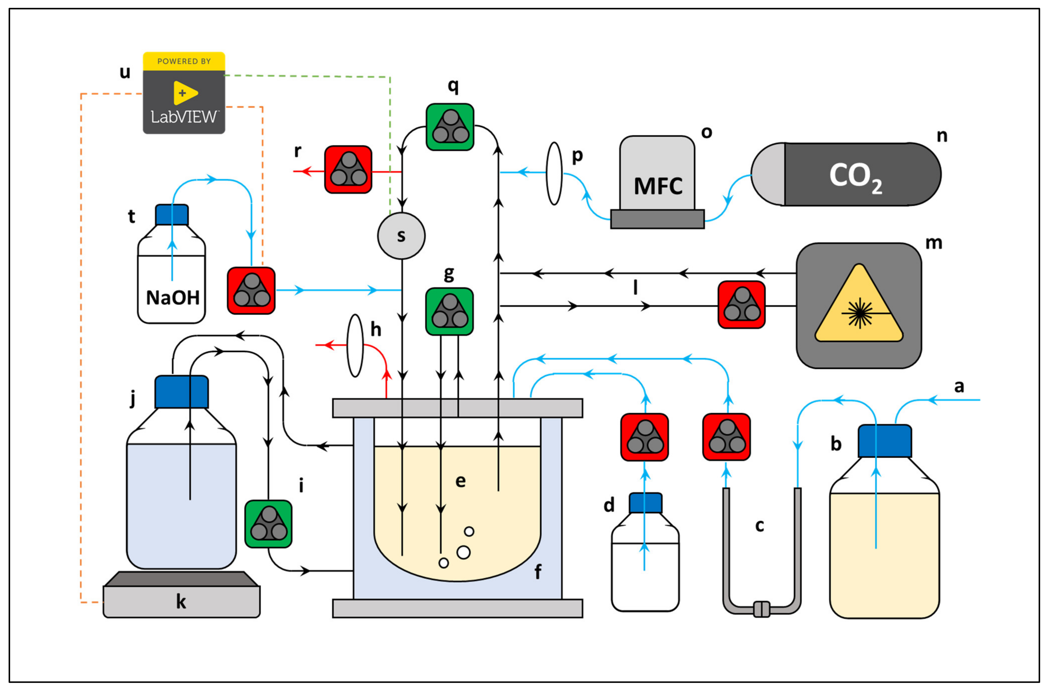 Catalysts 11 01016 g006