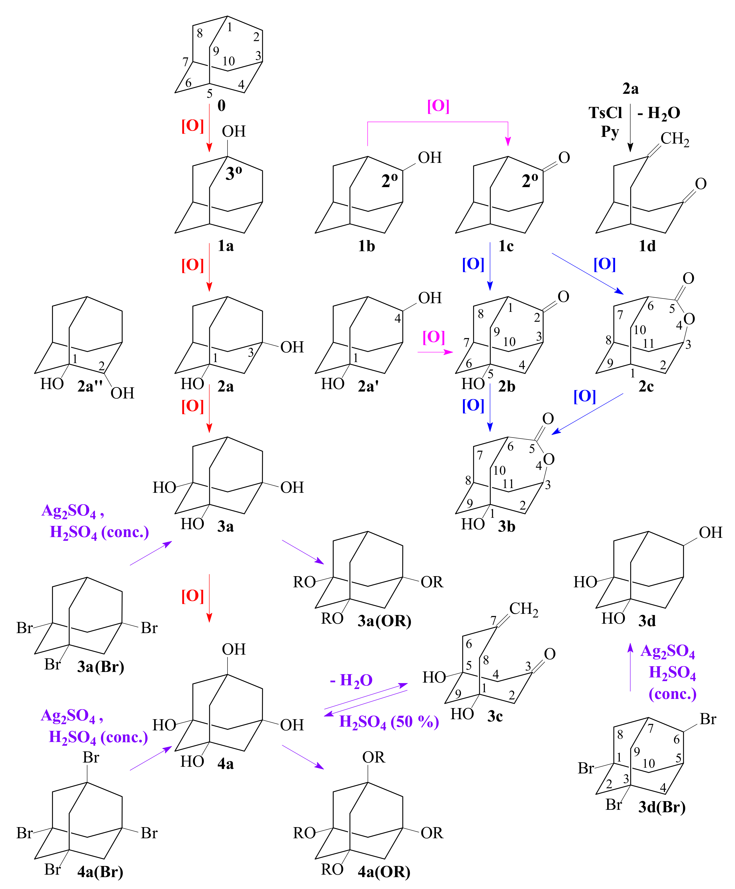 Catalysts 11 01017 sch001 550
