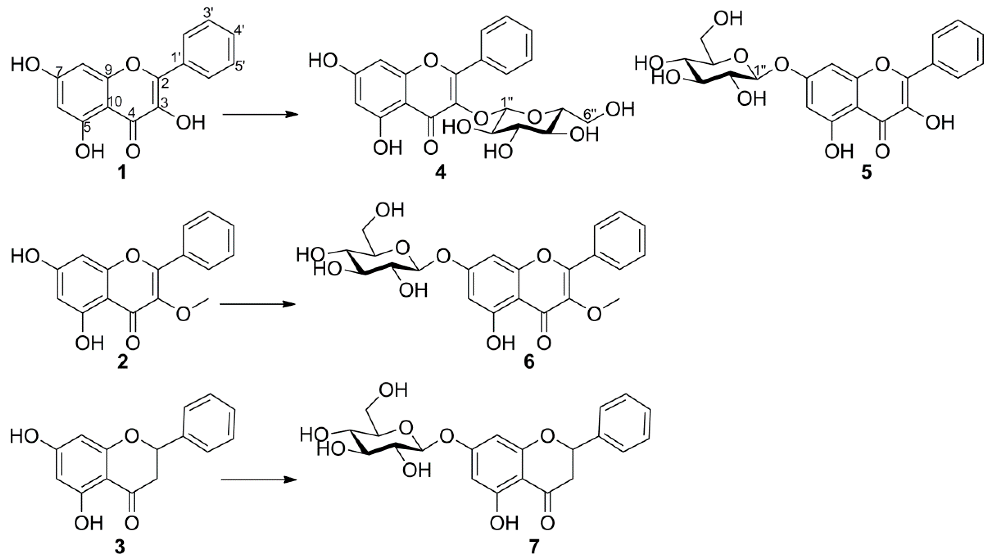 Catalysts 11 01020 g001