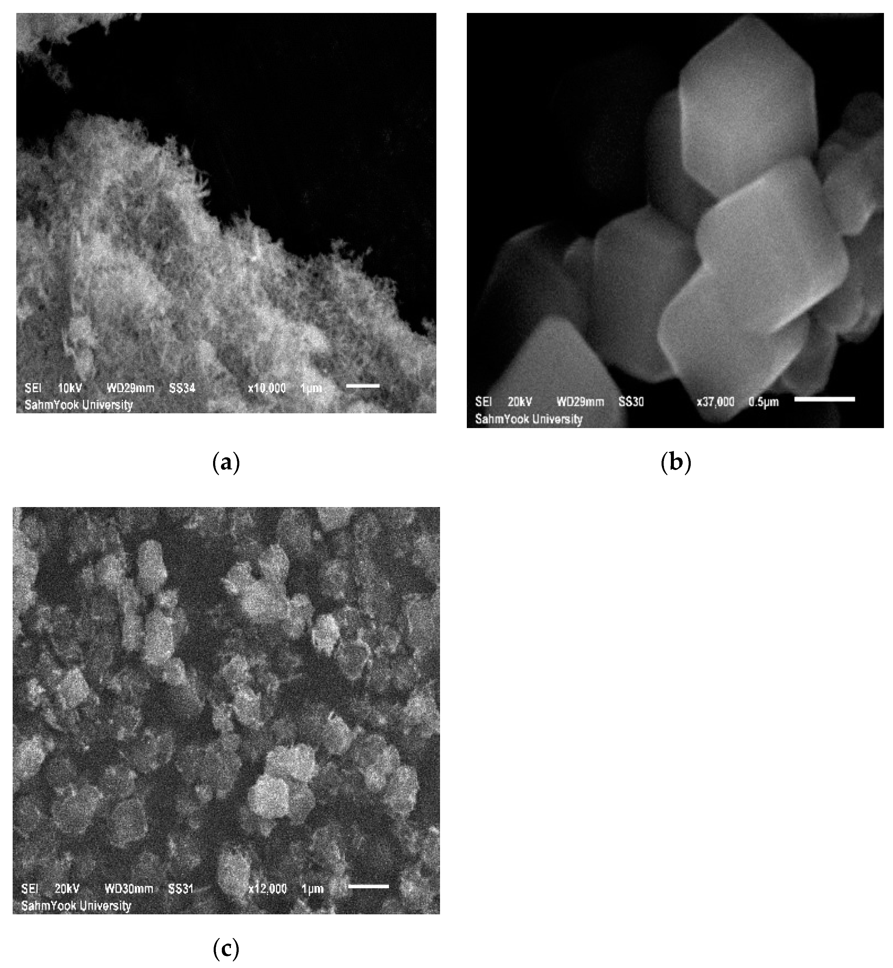 Catalysts 11 01022 g003 550