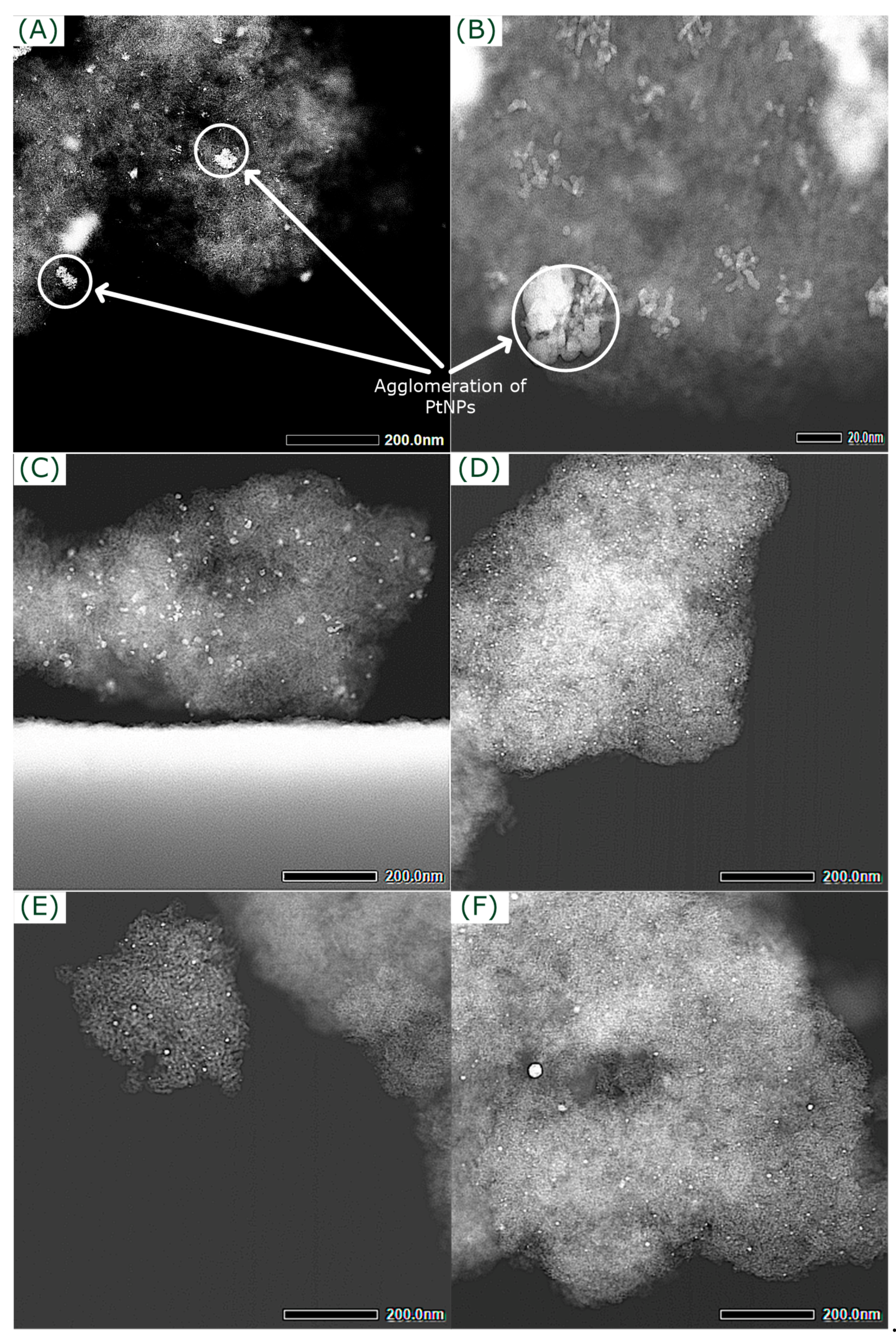 Catalysts 11 01027 g003 Catalysts 11 01027 g003