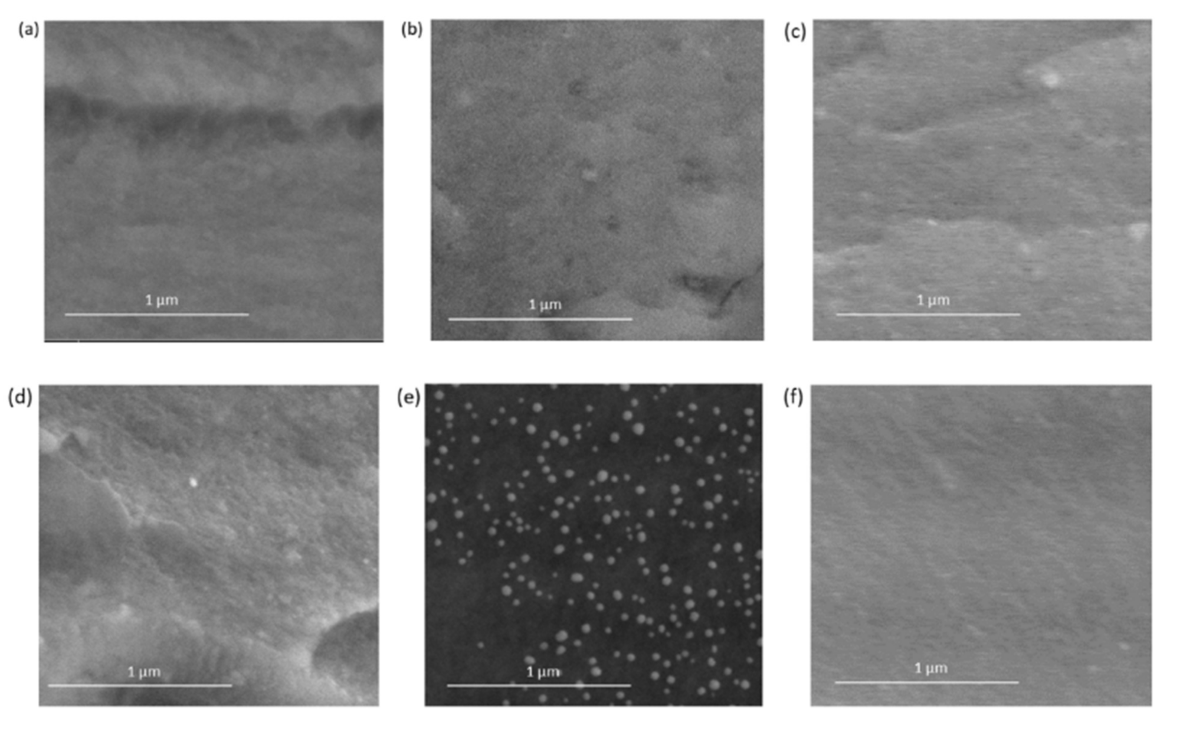 Catalysts 11 01041 g001 550