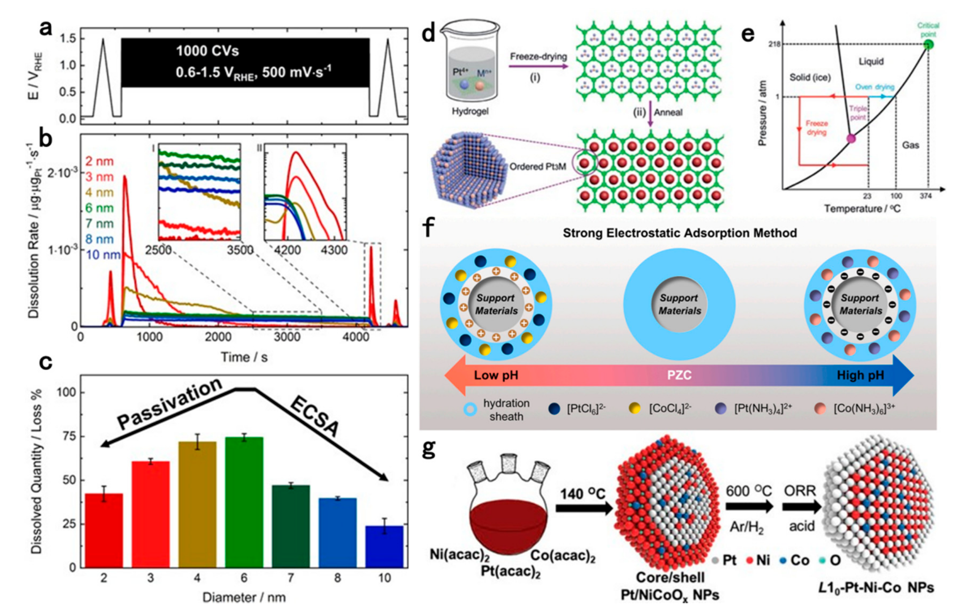 Catalysts 11 01050 g005 Catalysts 11 01050 g005