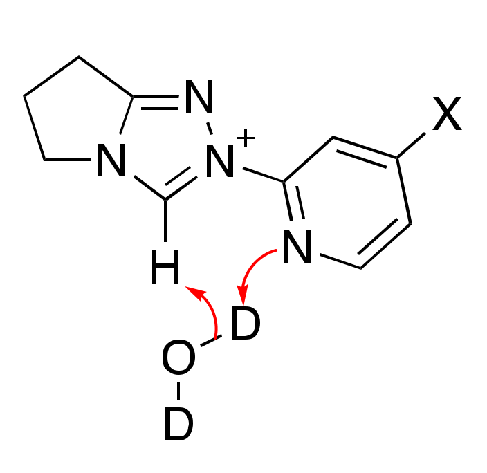 Catalysts 11 01055 g008