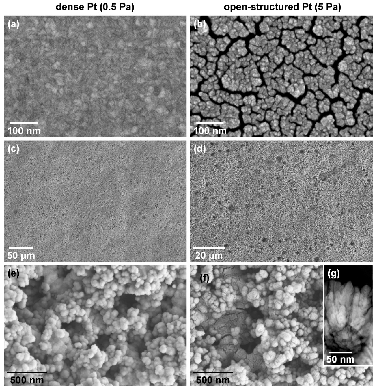 Catalysts 11 01065 g001
