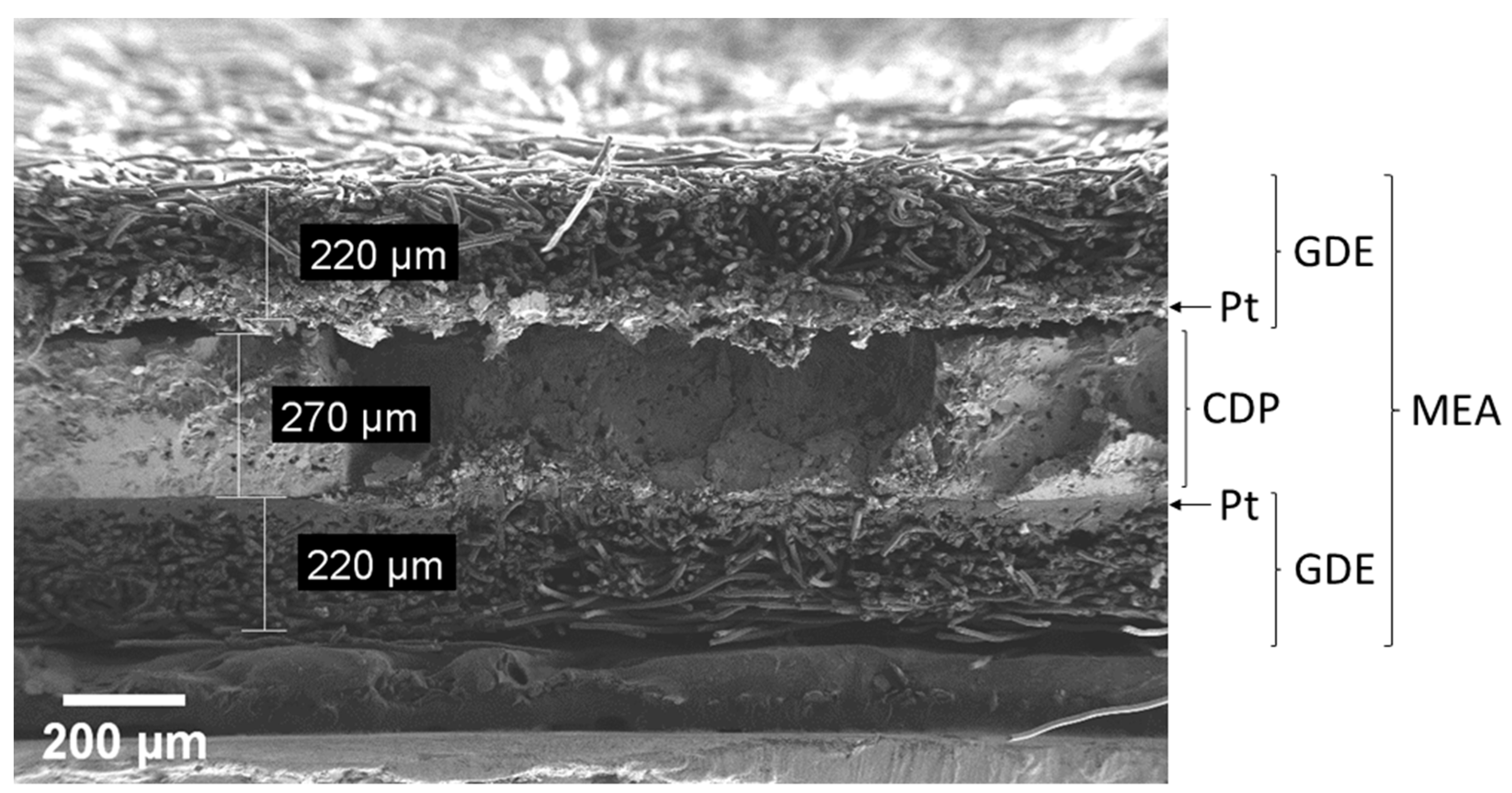Catalysts 11 01065 g010