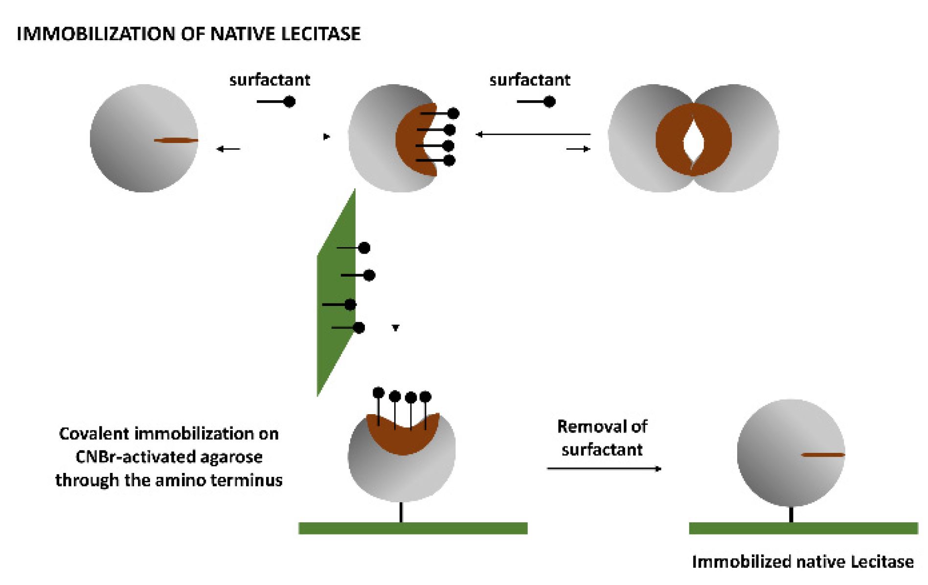 Catalysts 11 01067 g003 550