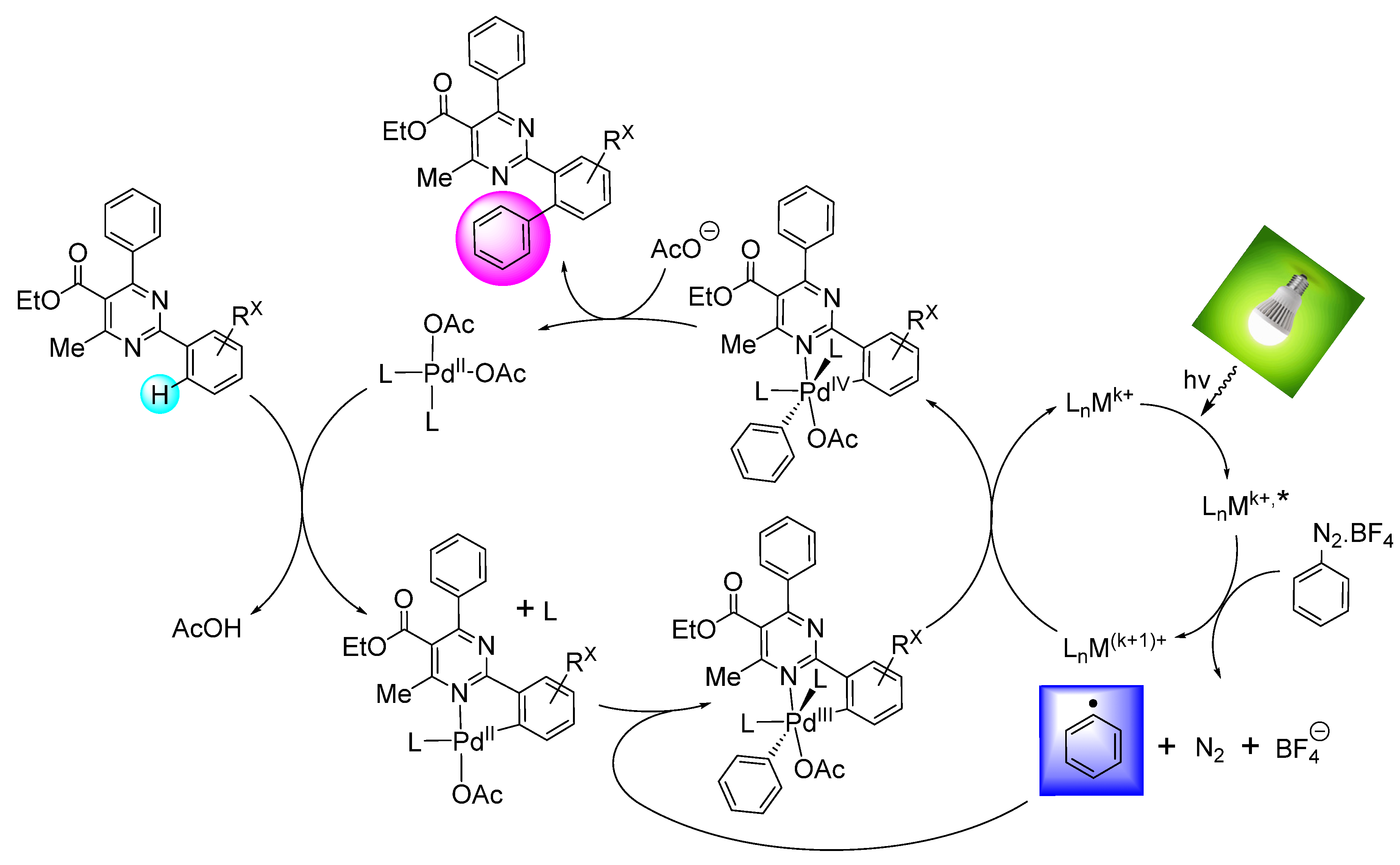 Catalysts 11 01071 sch005 550