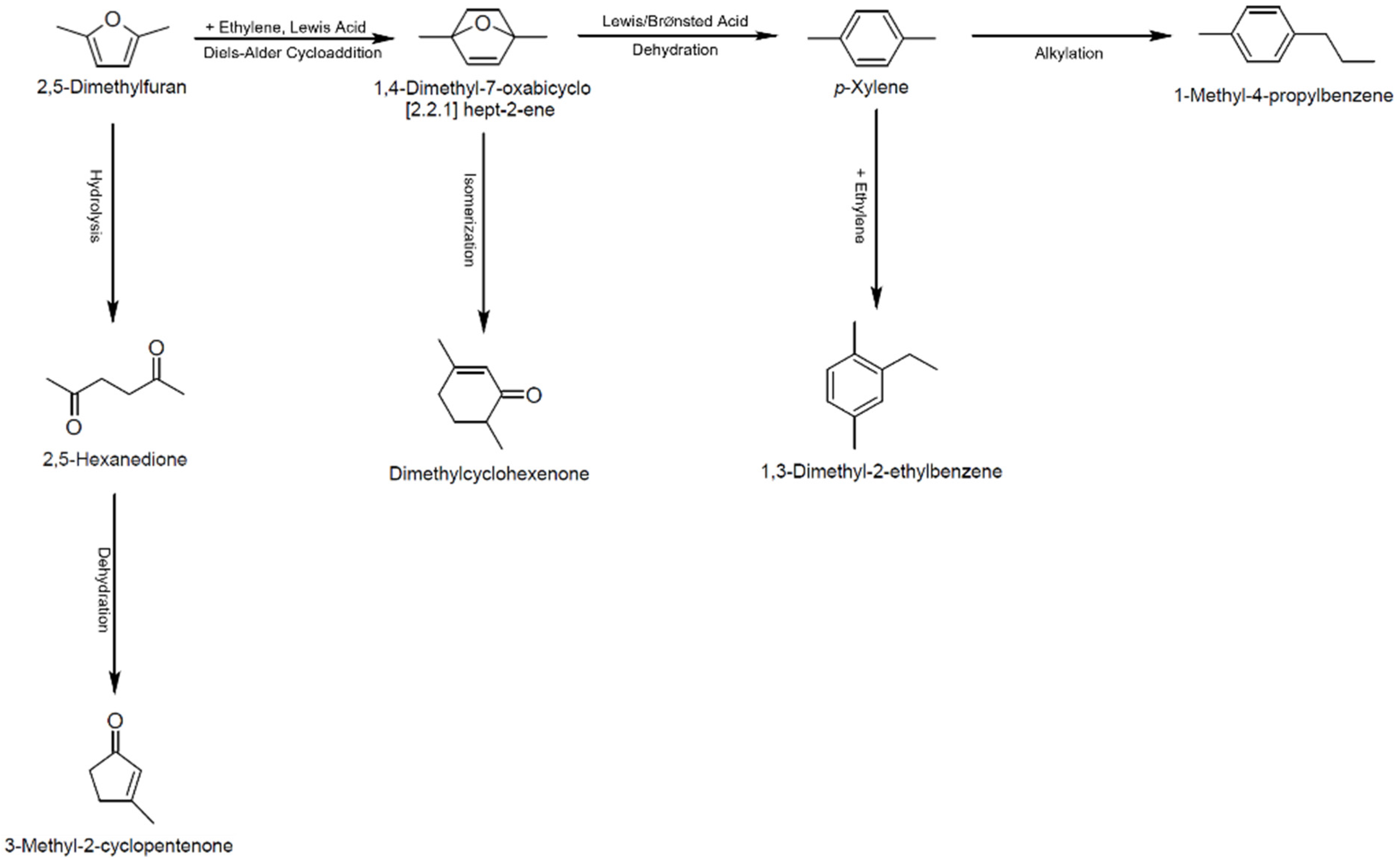Catalysts 11 01074 g001 550