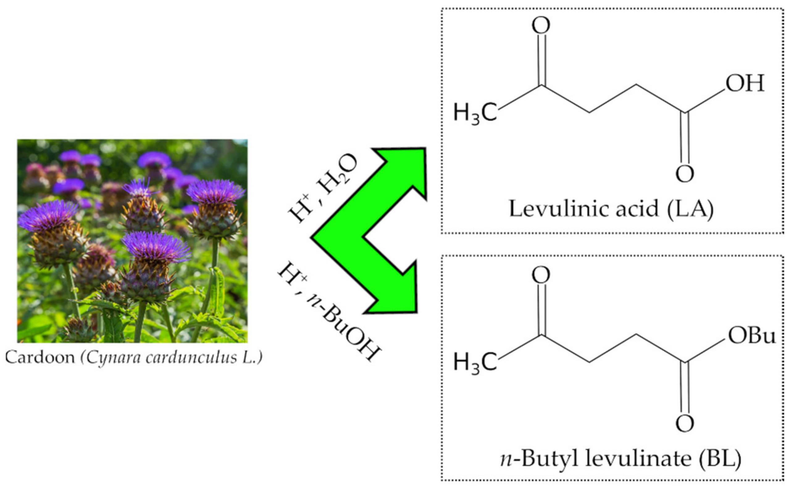 Catalysts 11 01082 sch001