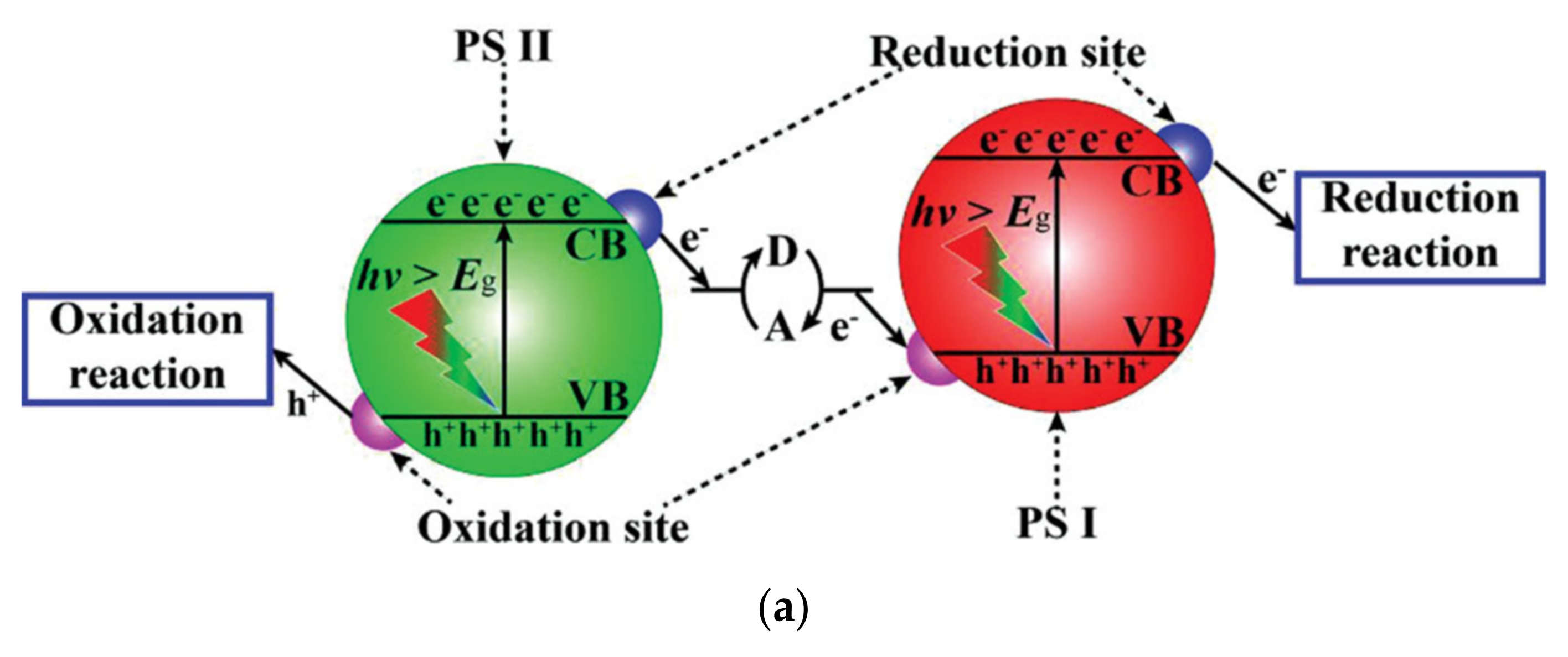 Catalysts 11 01084 g010a 550