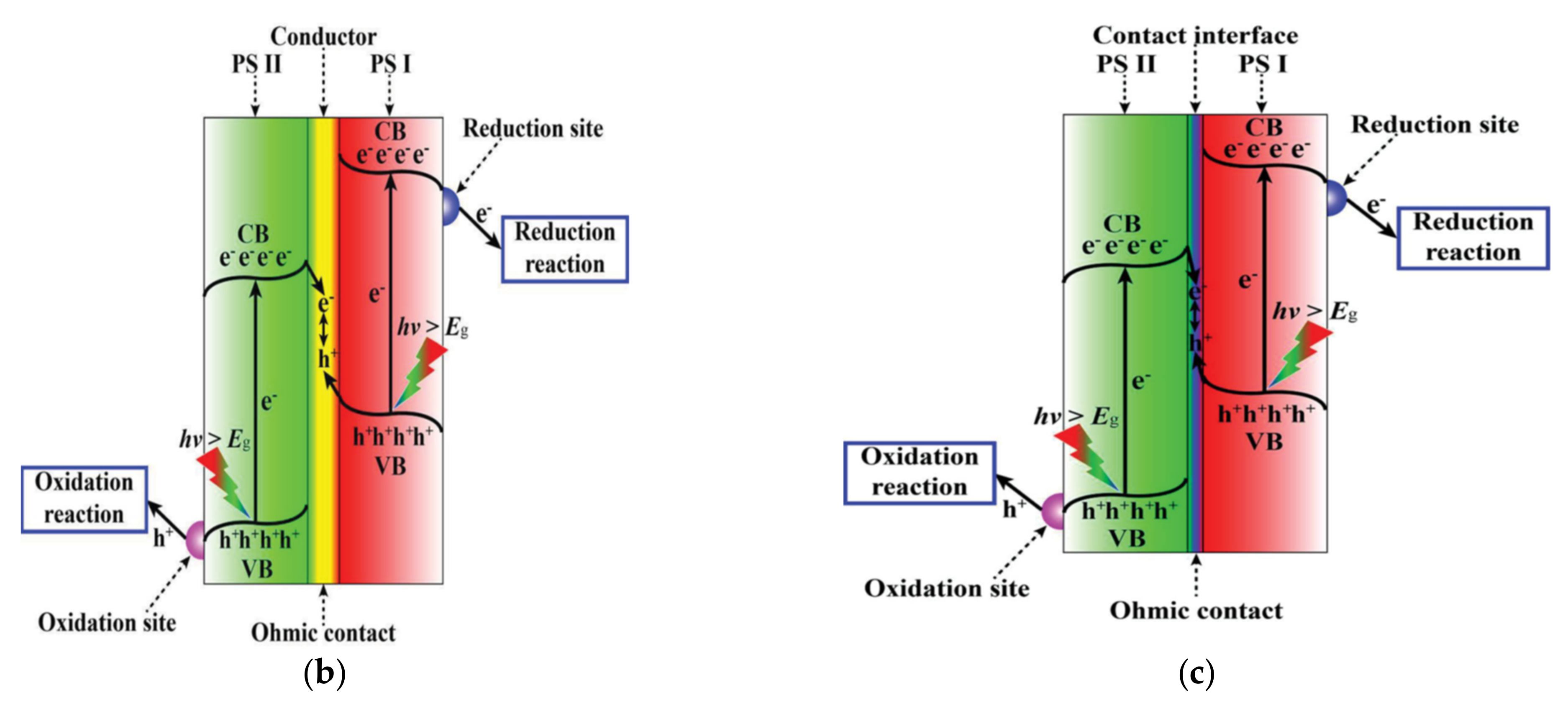 Catalysts 11 01084 g010b 550