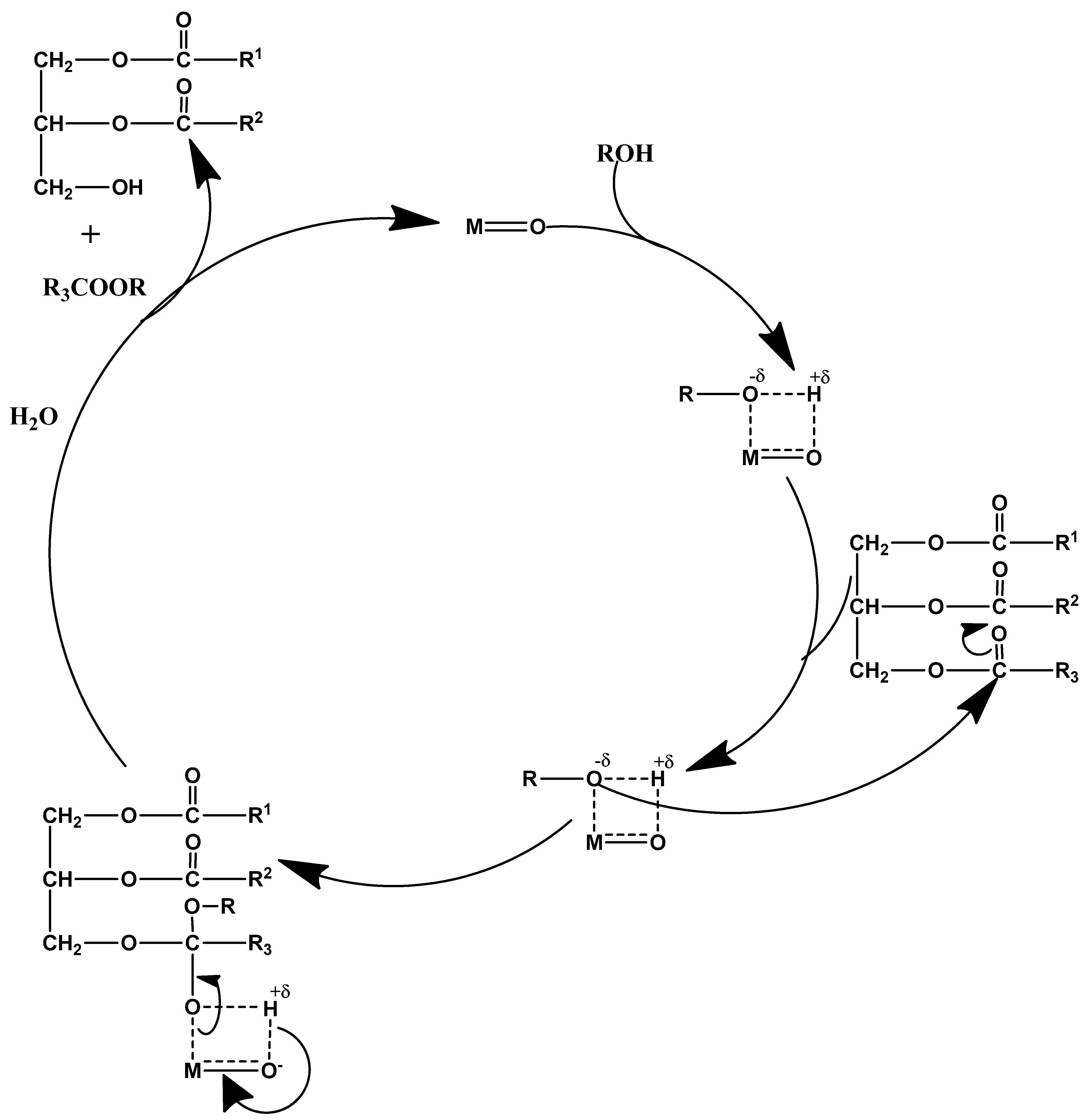 Catalysts 11 01085 g005