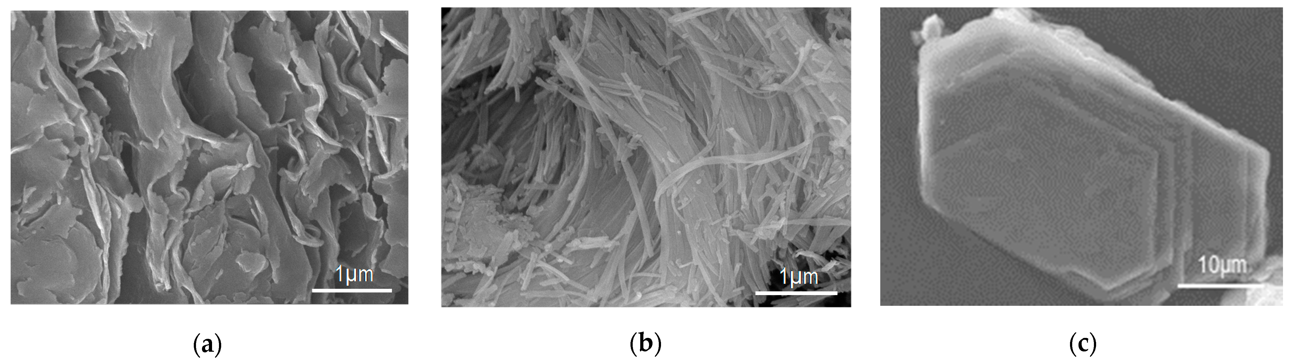 Catalysts 11 01087 g002 Catalysts 11 01087 g002