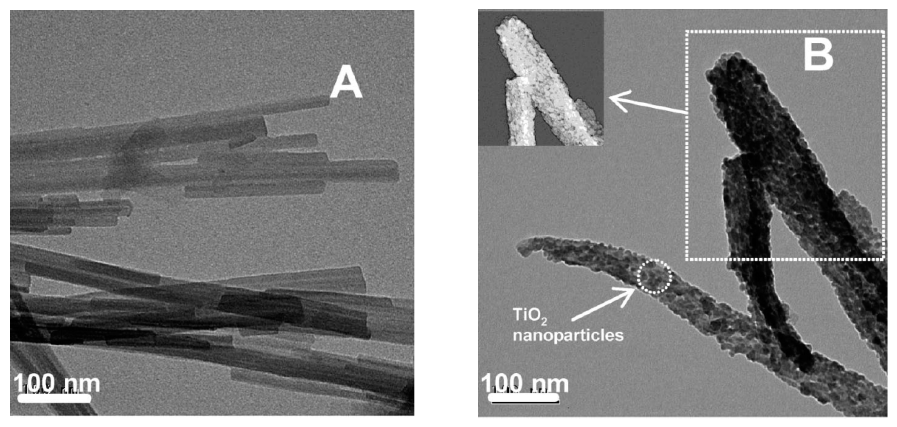 Catalysts 11 01087 g013 Catalysts 11 01087 g013