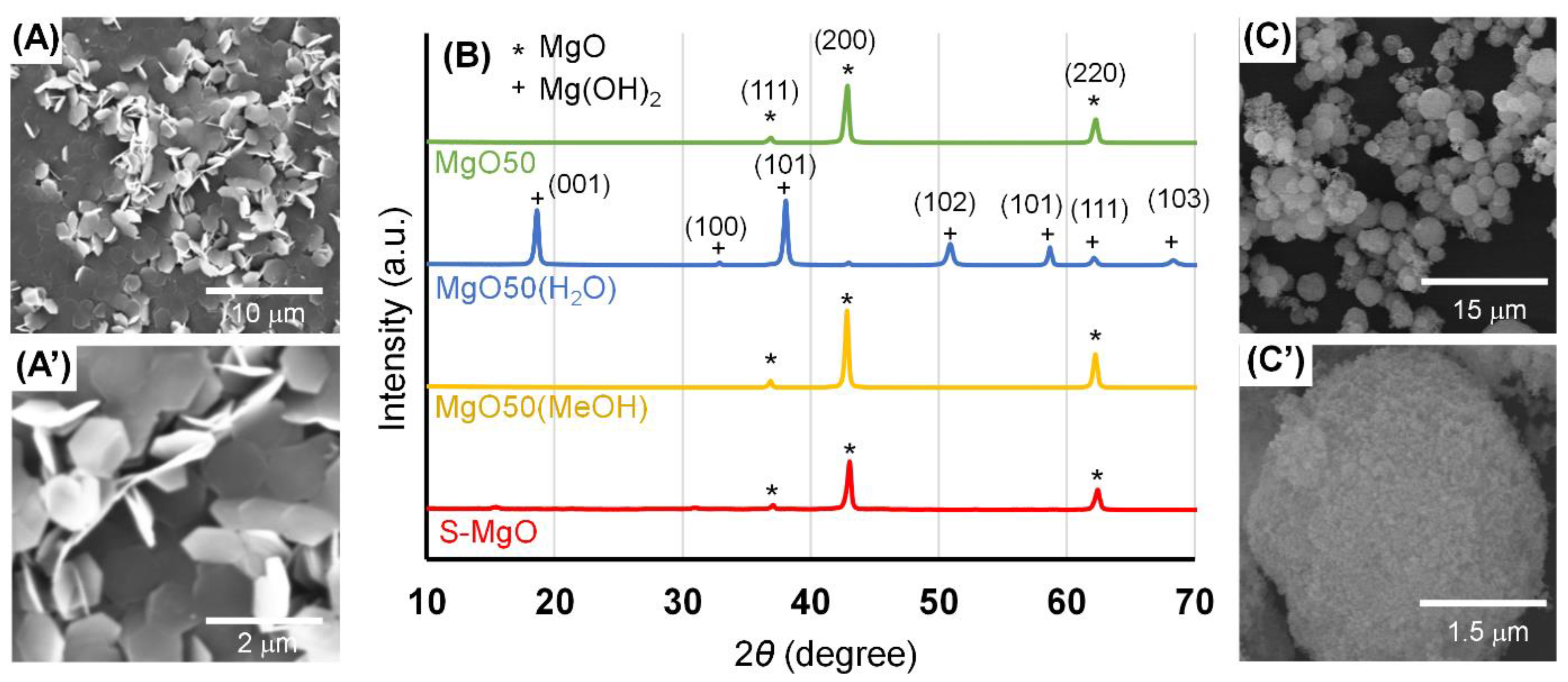 Catalysts 11 01092 g002 550