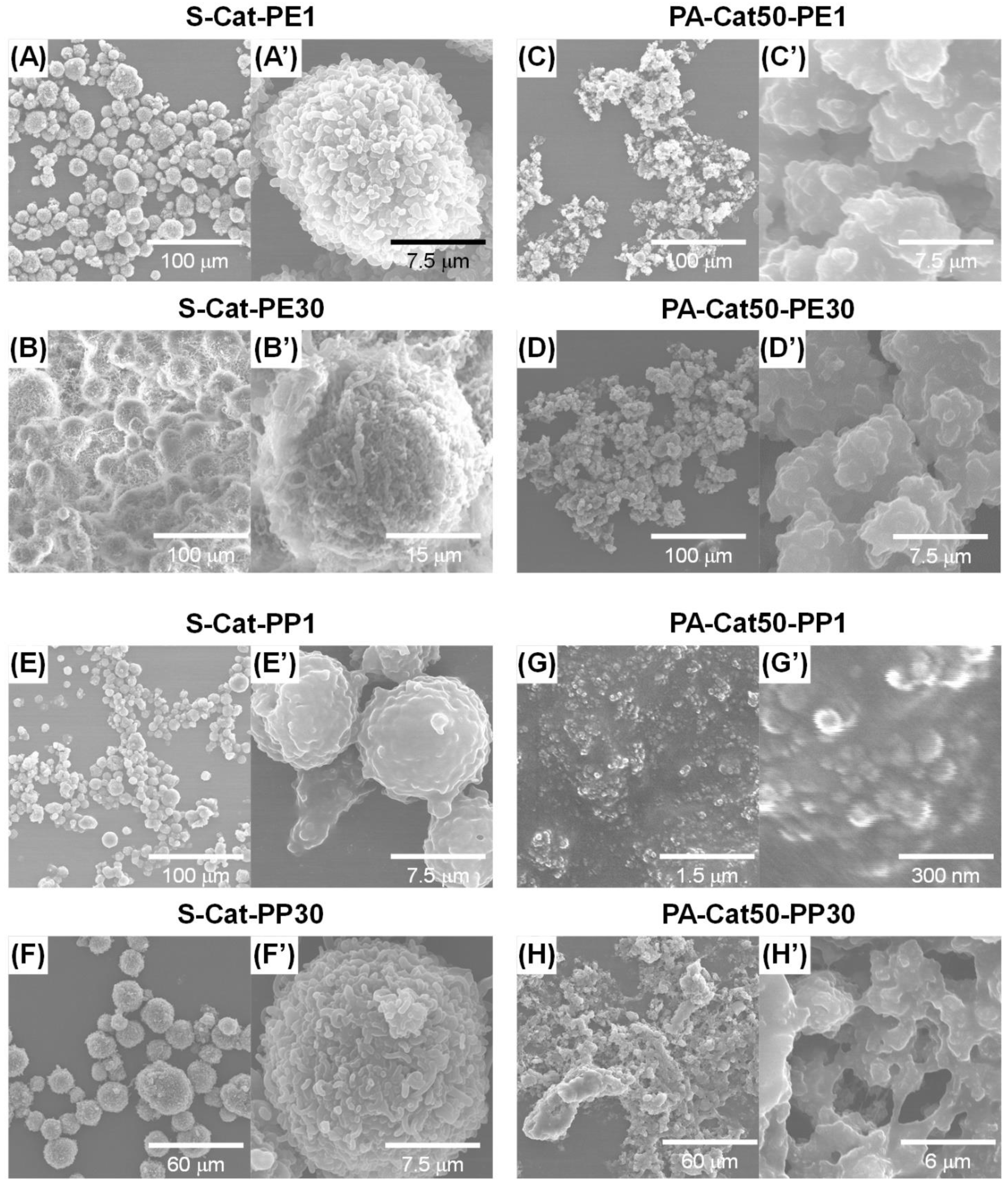 Catalysts 11 01092 g006 550