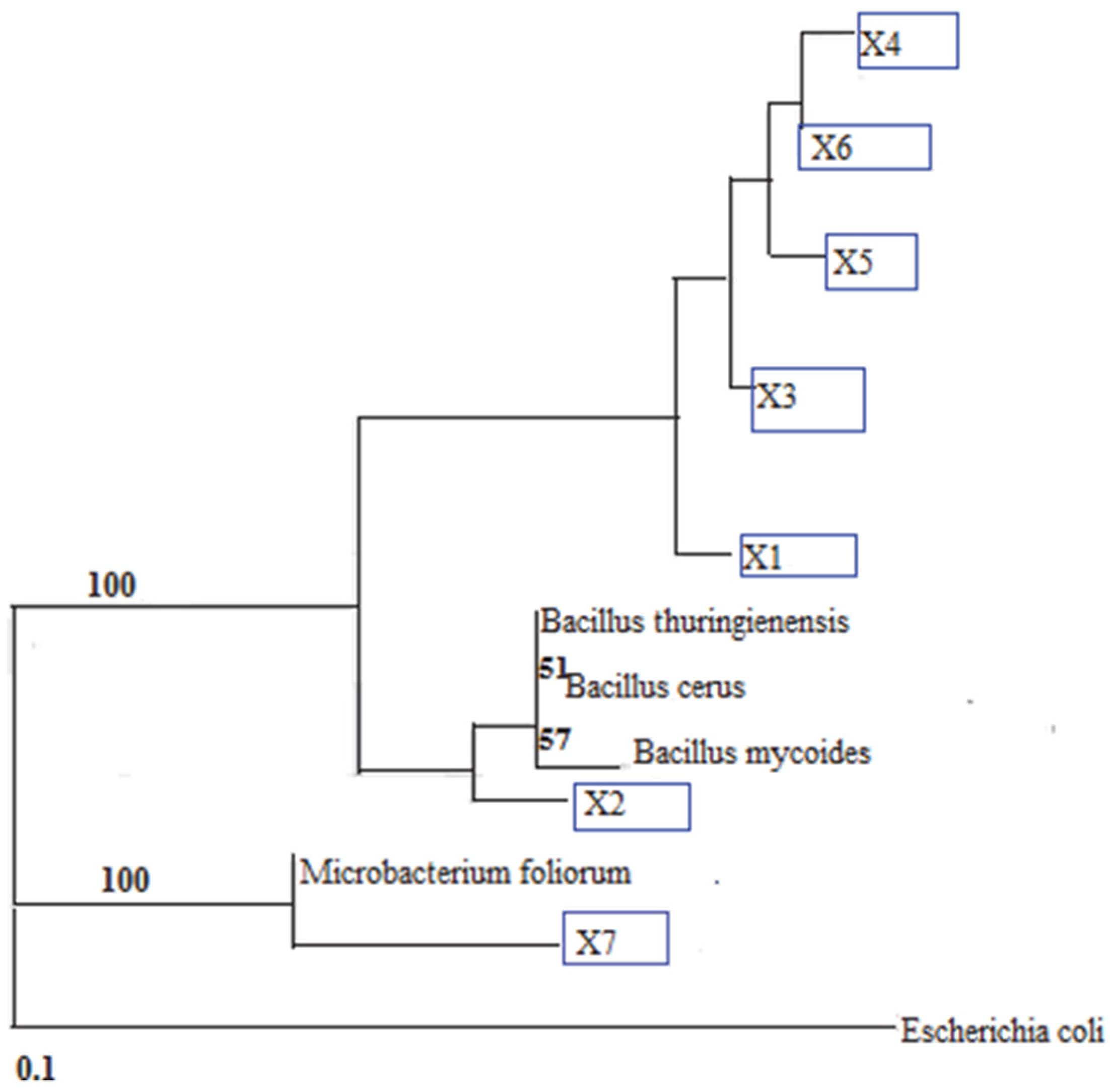 Catalysts 11 01100 g007