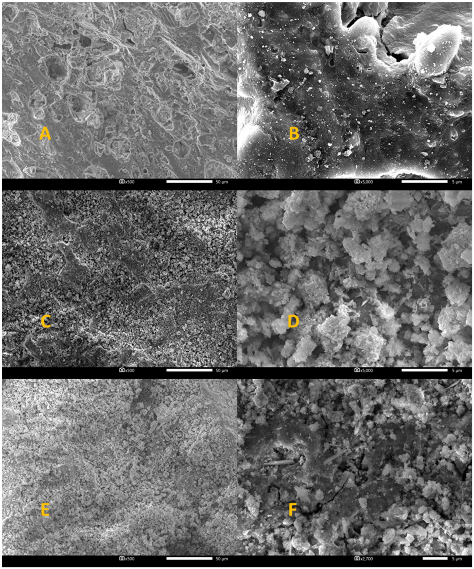 Catalysts 11 01101 g006