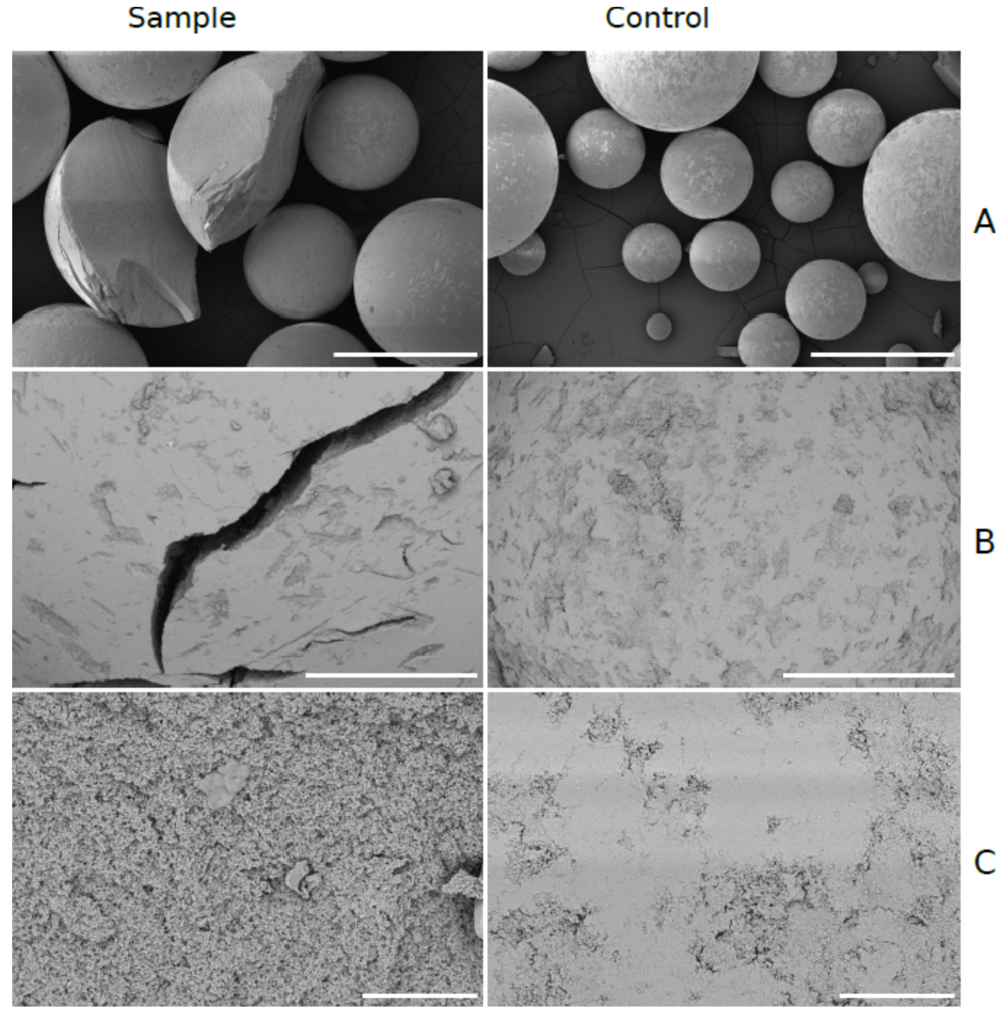 Catalysts 11 01106 g004 550