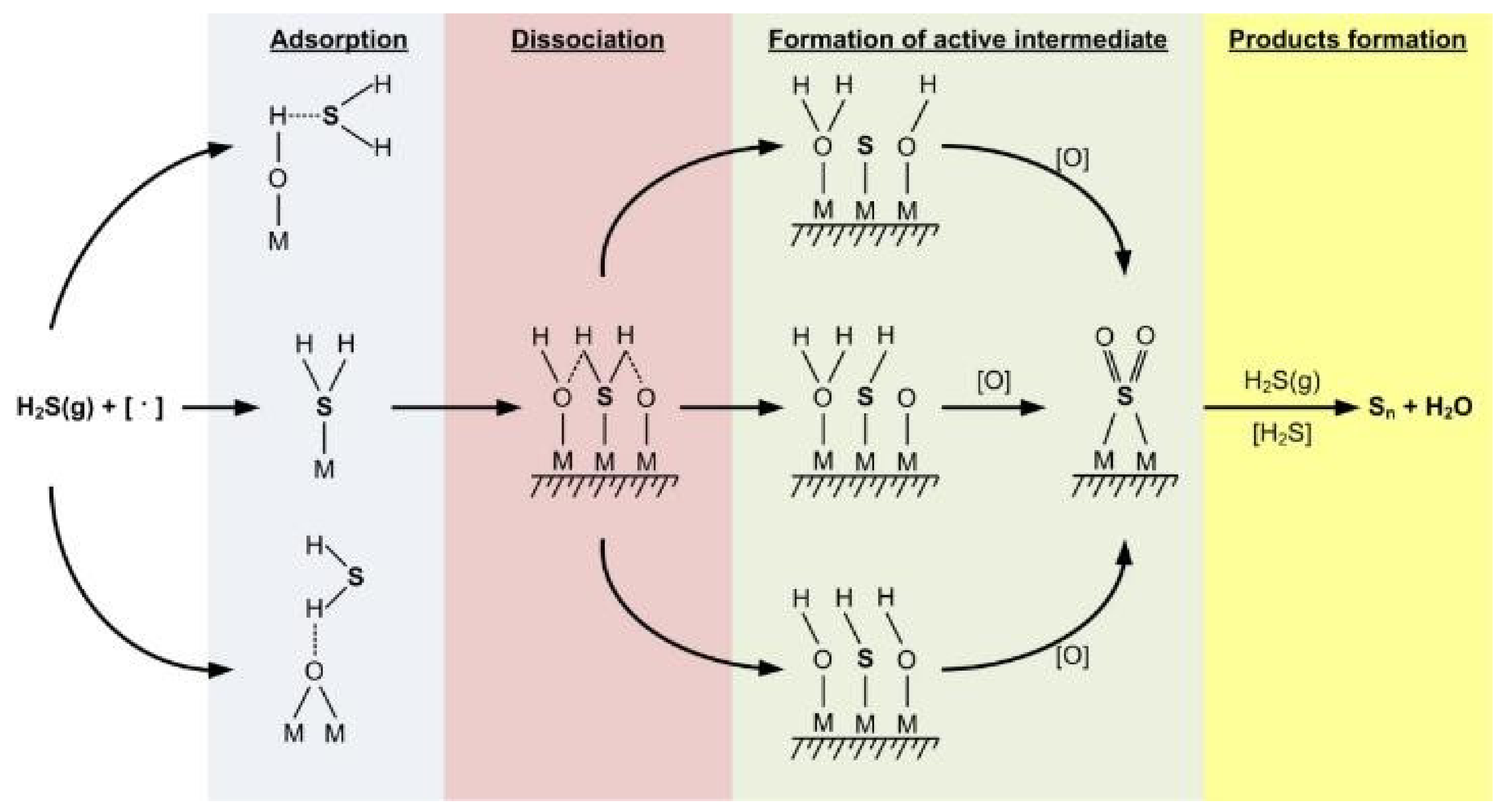 Catalysts 11 01109 g013 550