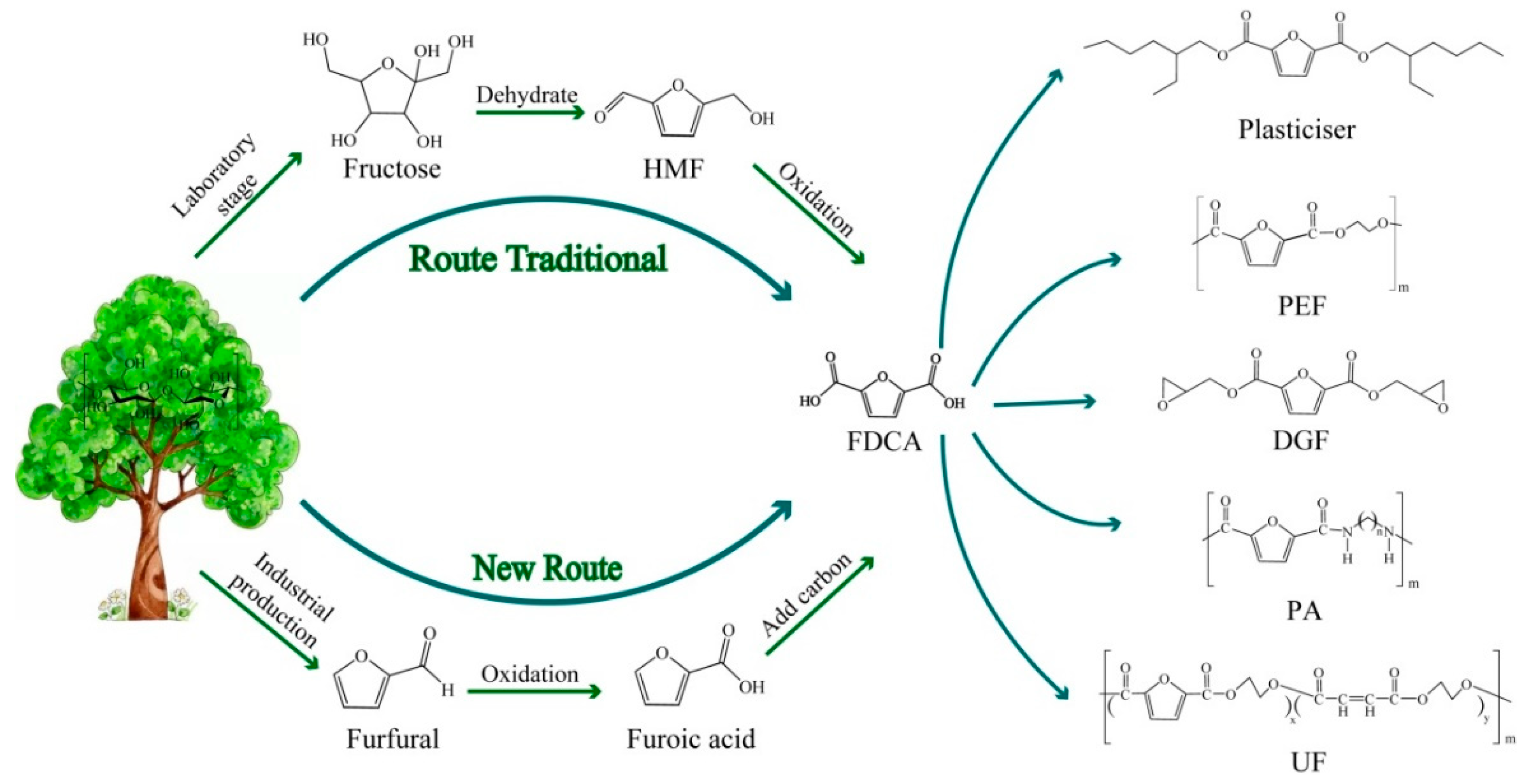 Catalysts 11 01113 g001