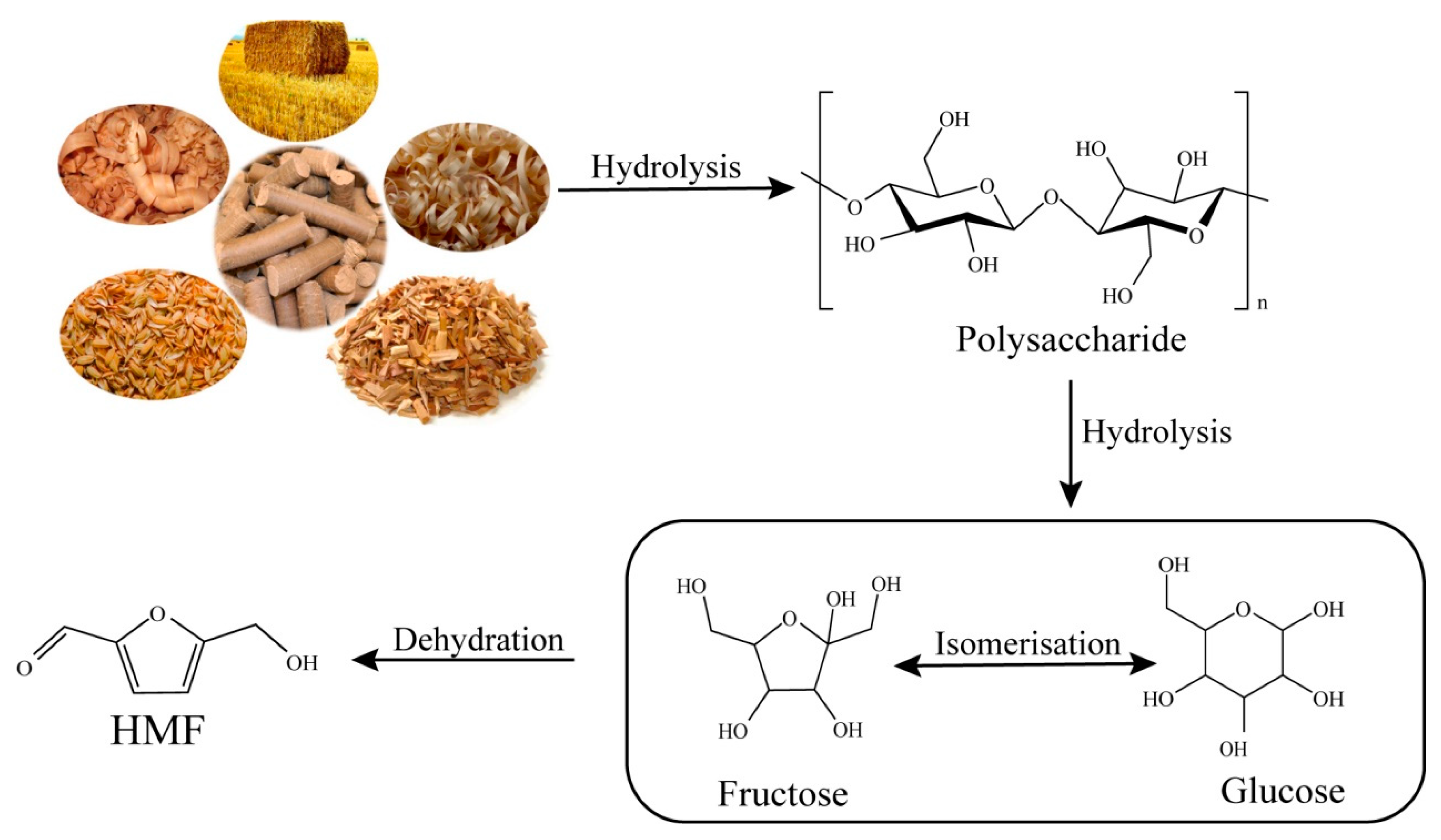 Catalysts 11 01113 g003