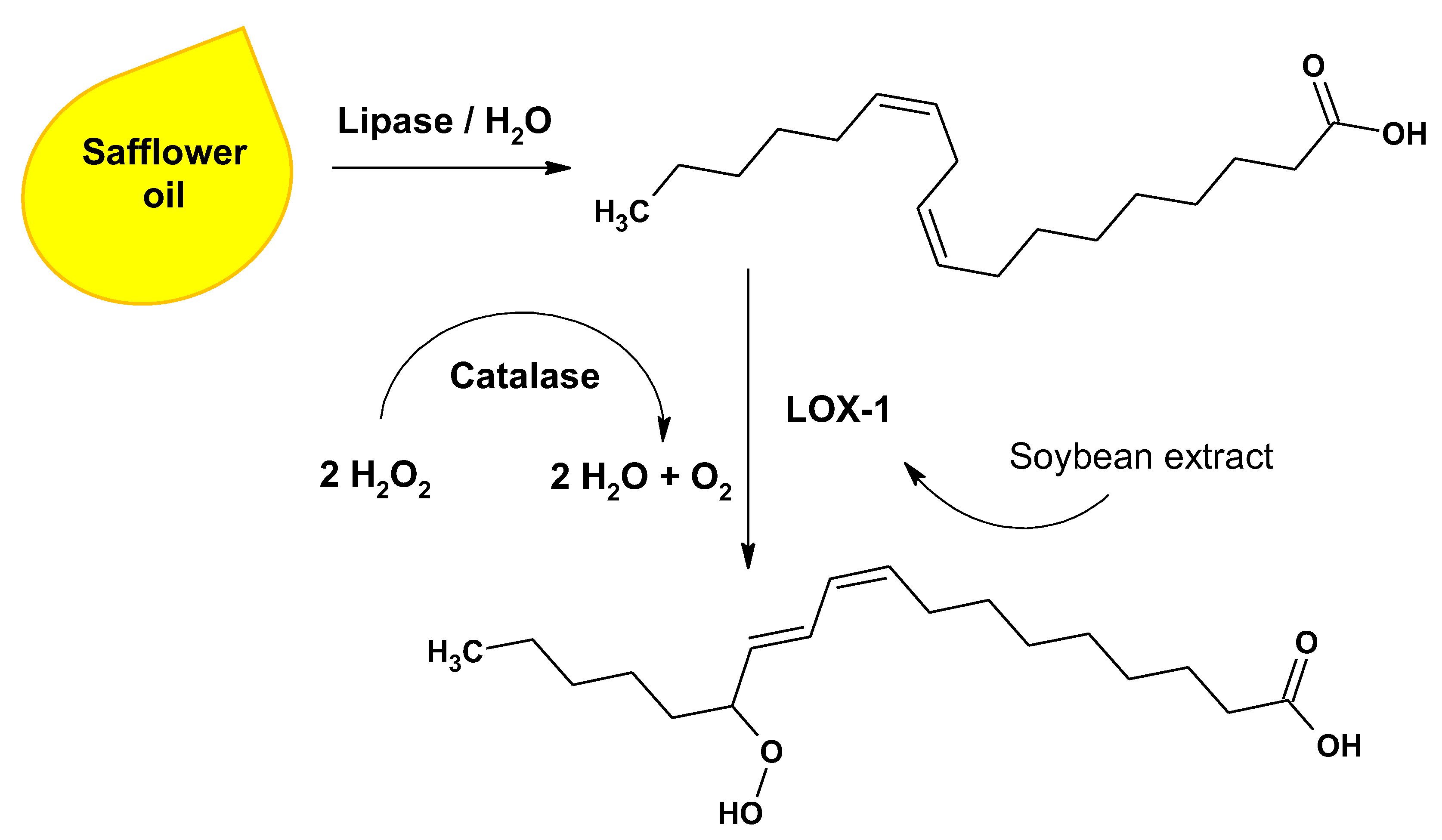 Catalysts 11 01119 sch001 Catalysts 11 01119 sch001
