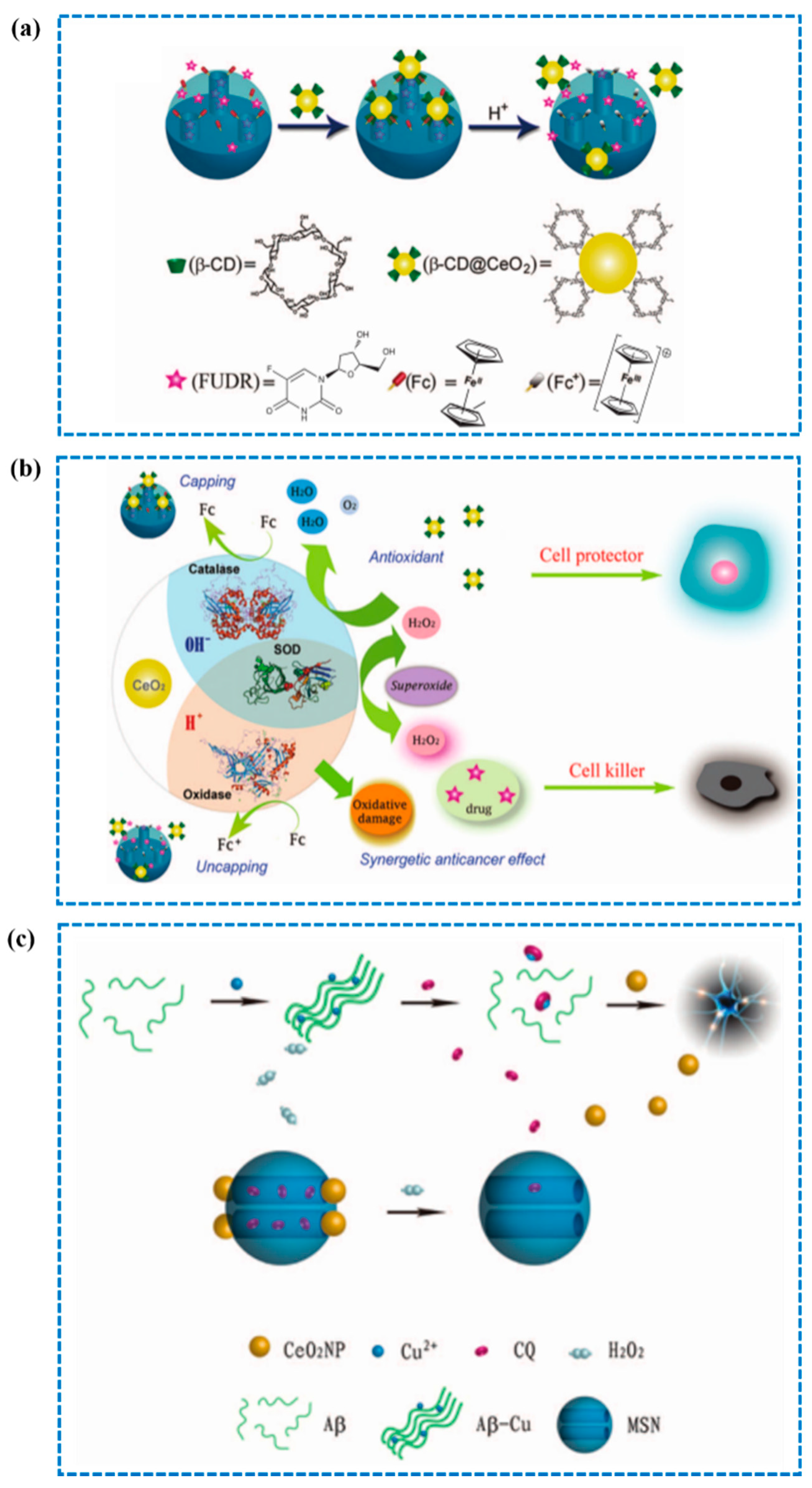 Catalysts 11 01123 g005 550