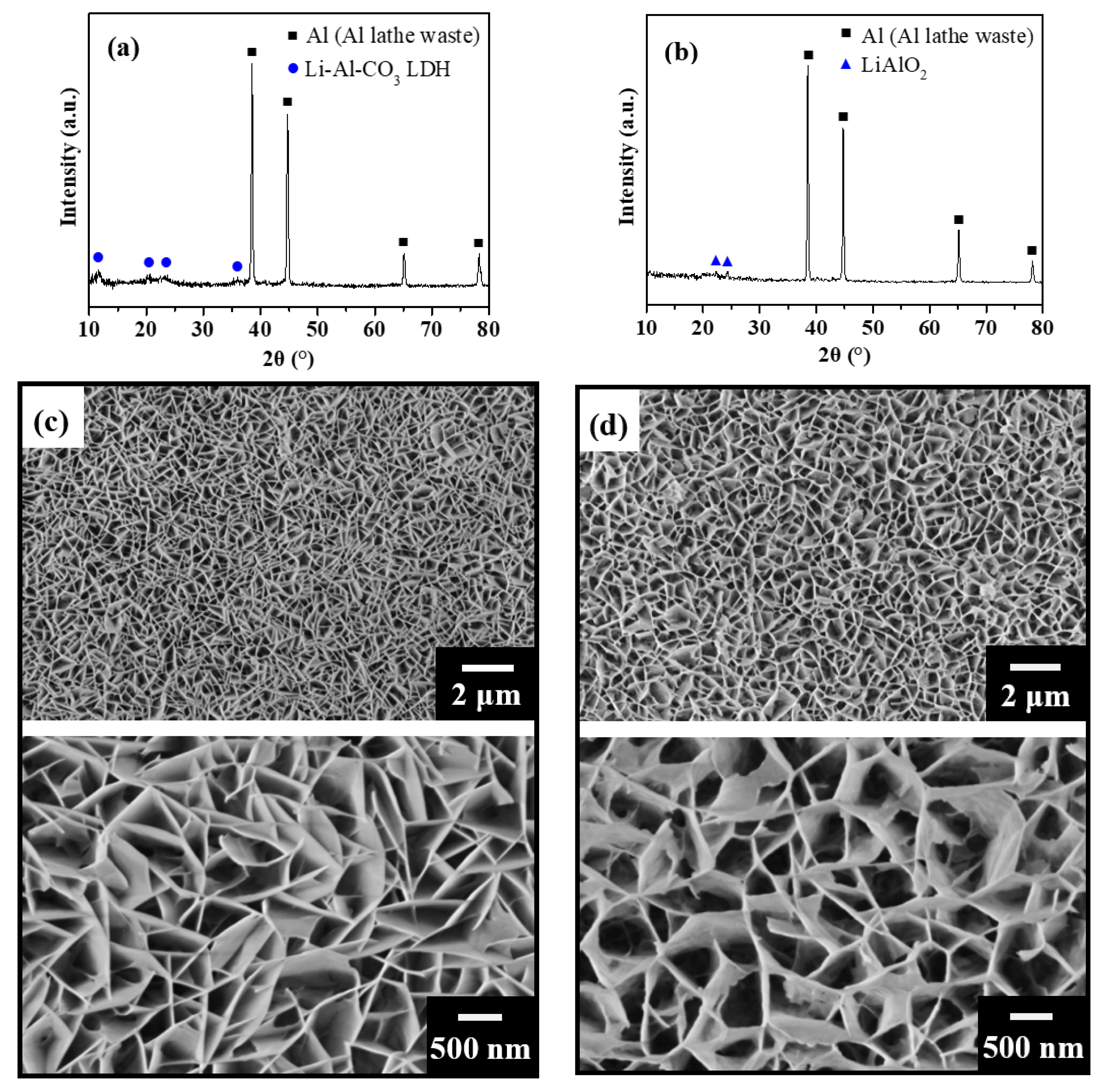 Catalysts 11 01124 g001