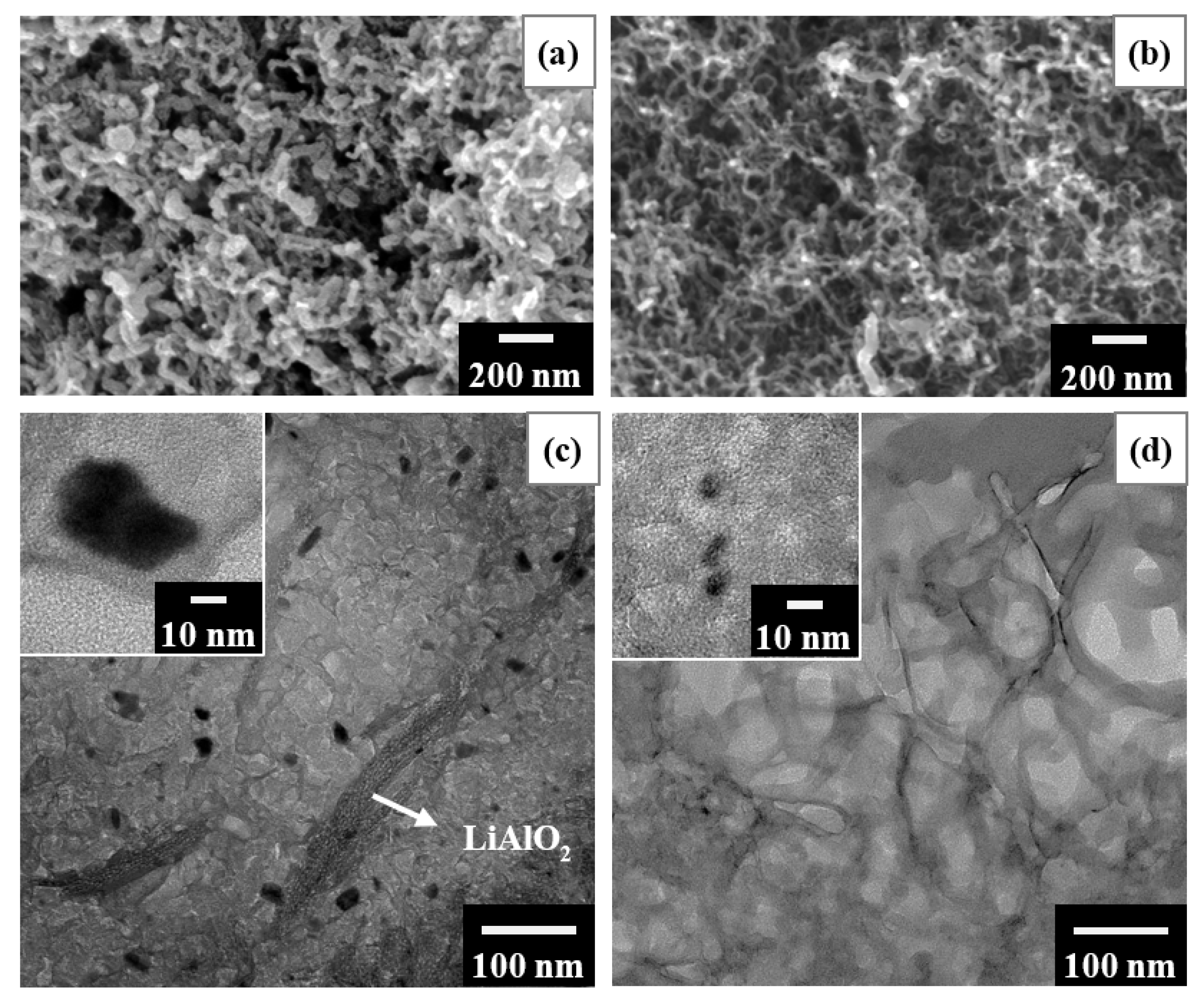 Catalysts 11 01124 g011