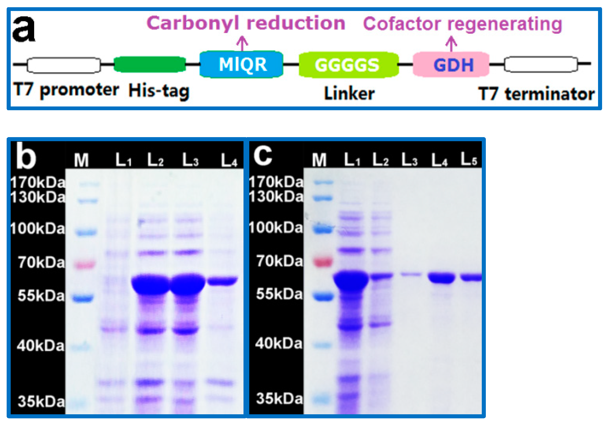 Catalysts 11 01126 g001