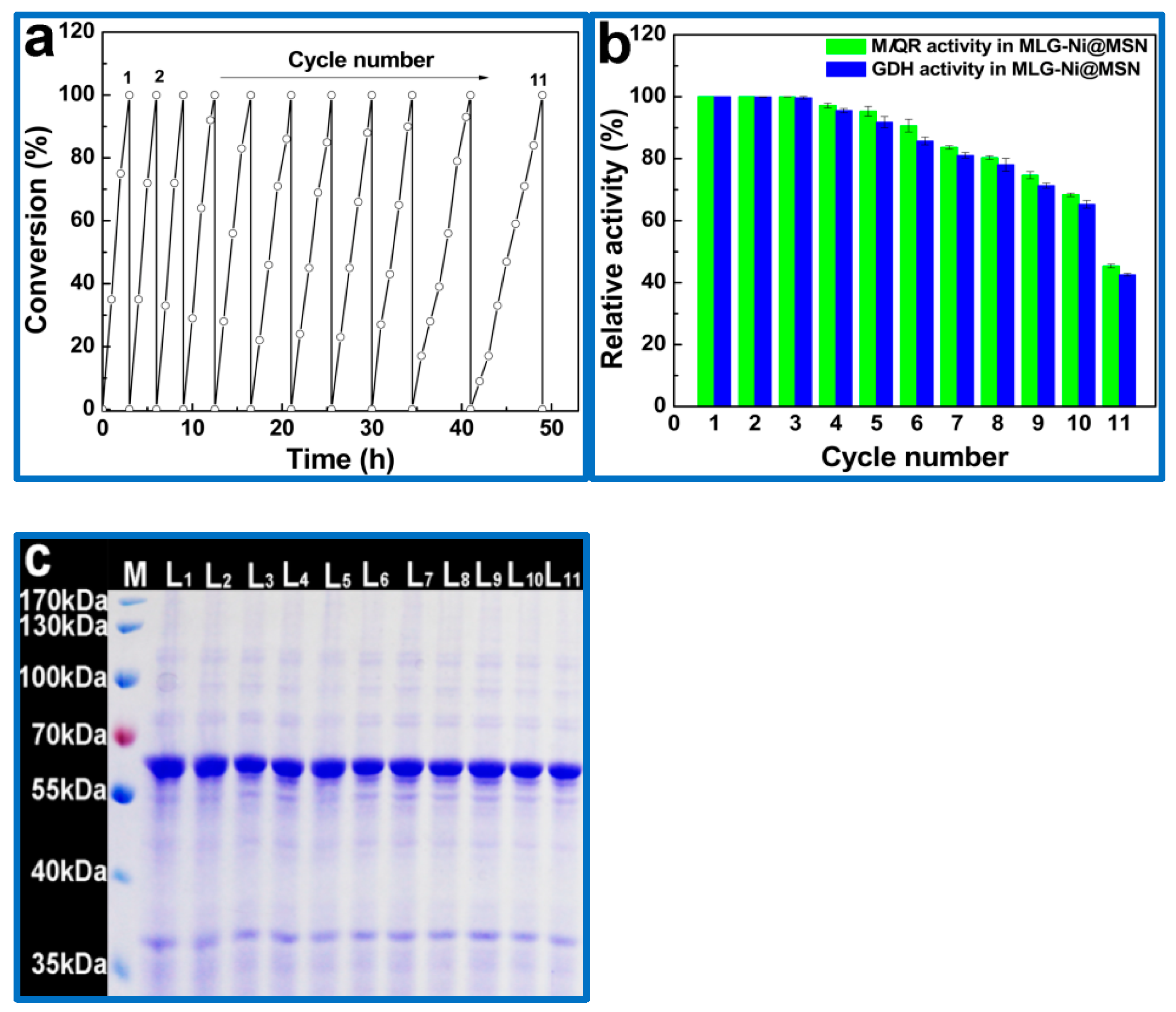 Catalysts 11 01126 g008
