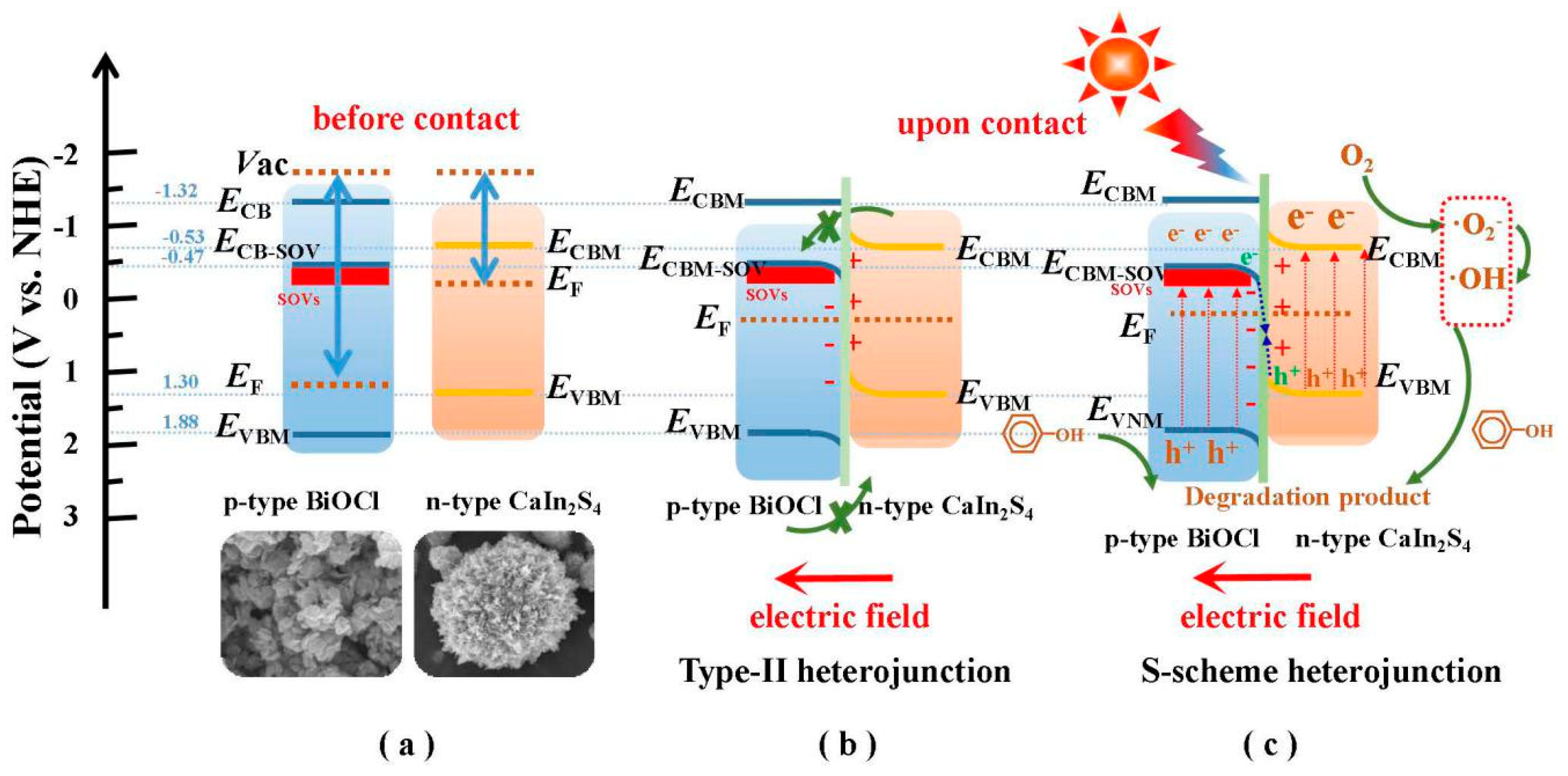 Catalysts 11 01130 sch001