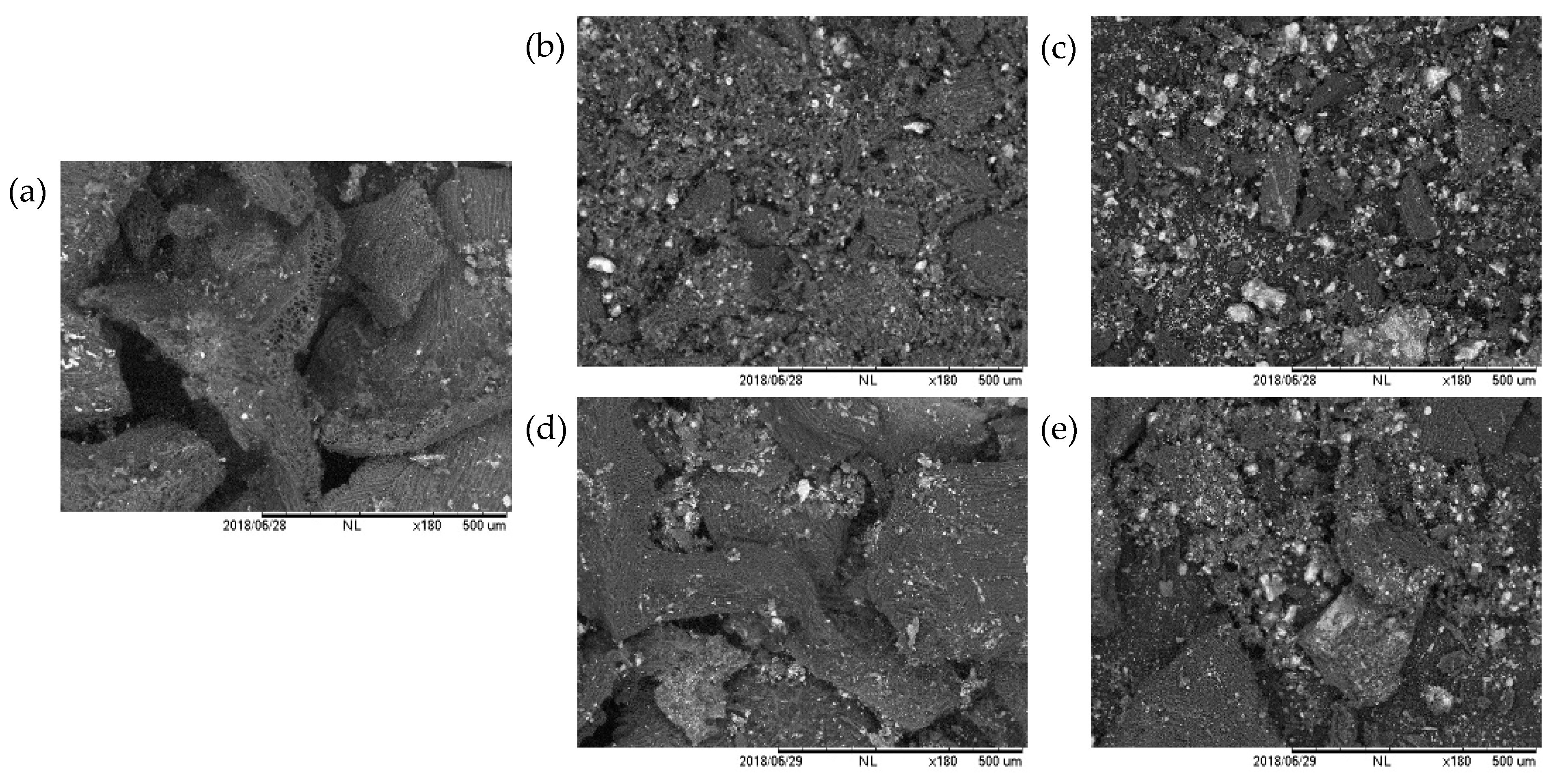 Catalysts 11 01137 g001