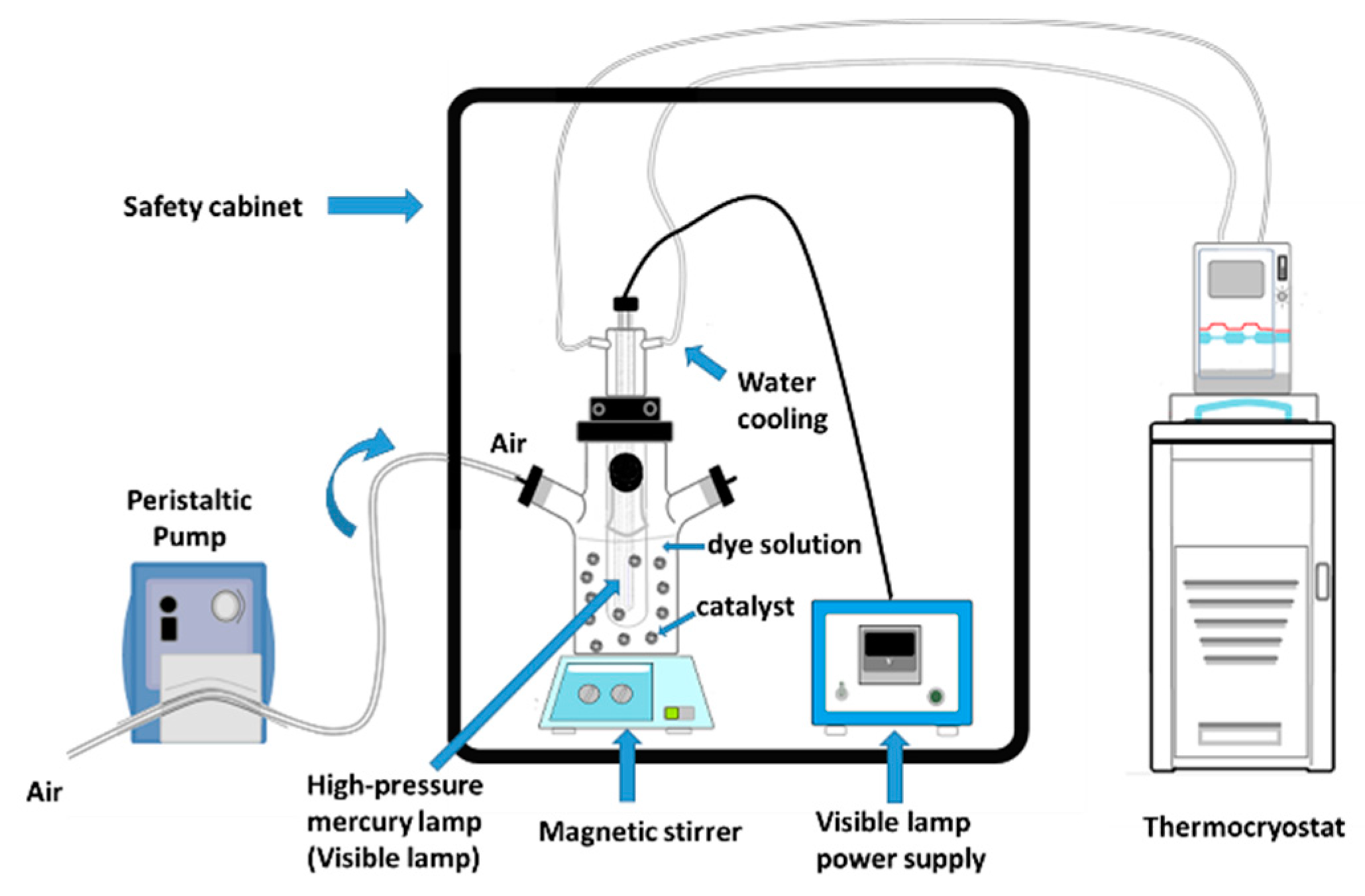 Catalysts 11 01137 g007