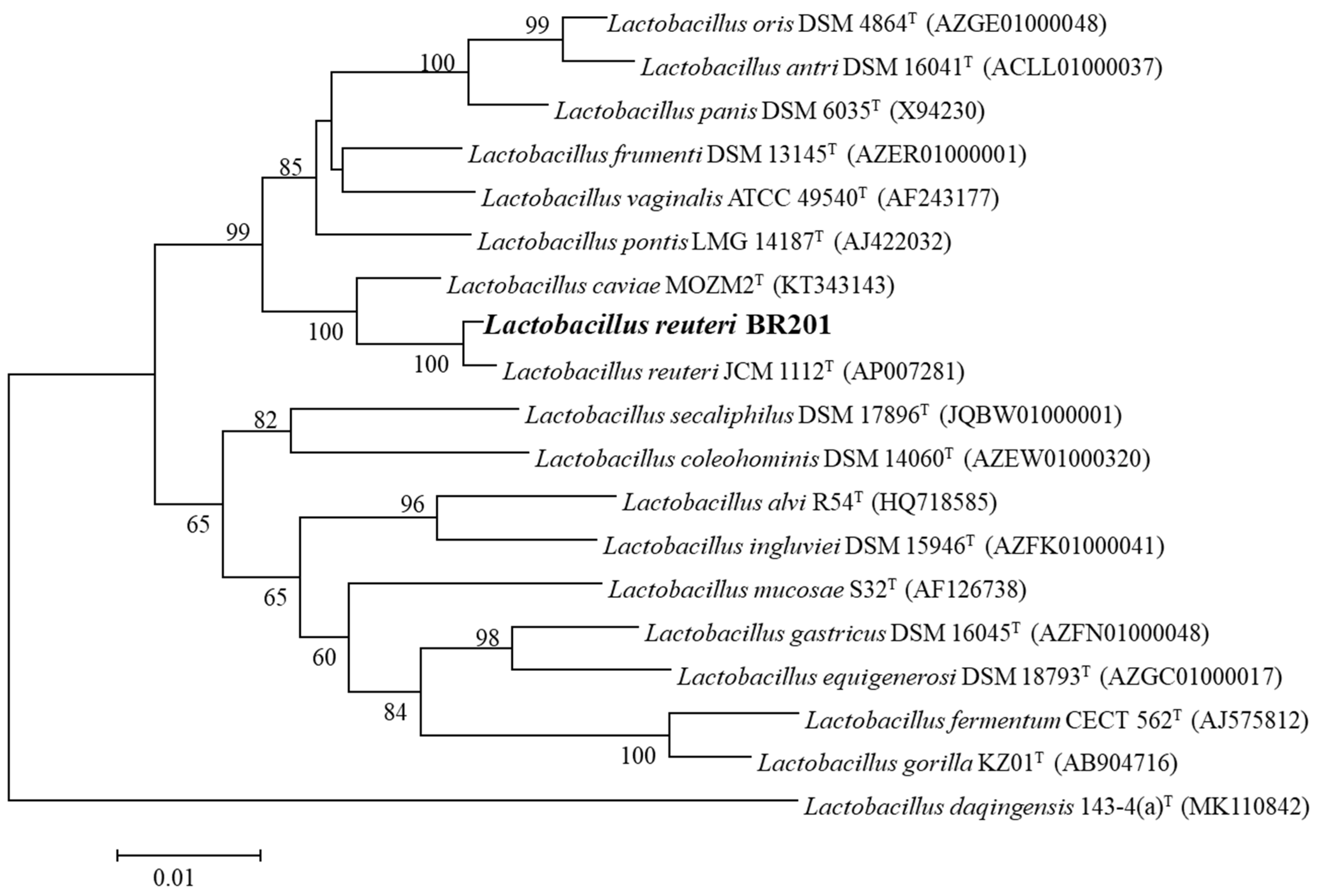 Catalysts 11 01139 g001 Catalysts 11 01139 g001