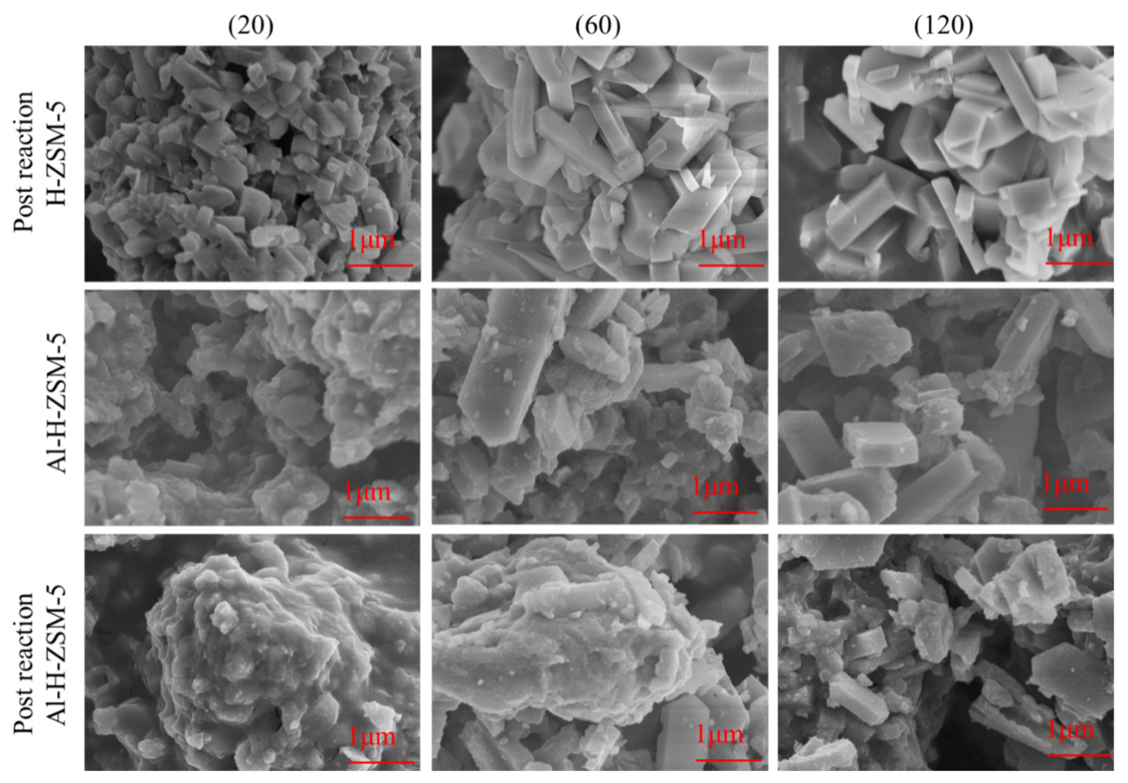 Catalysts 11 01140 g004