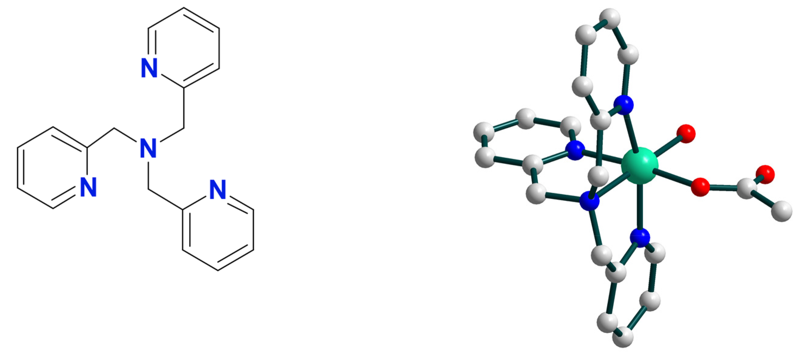 Catalysts 11 01148 g001 550