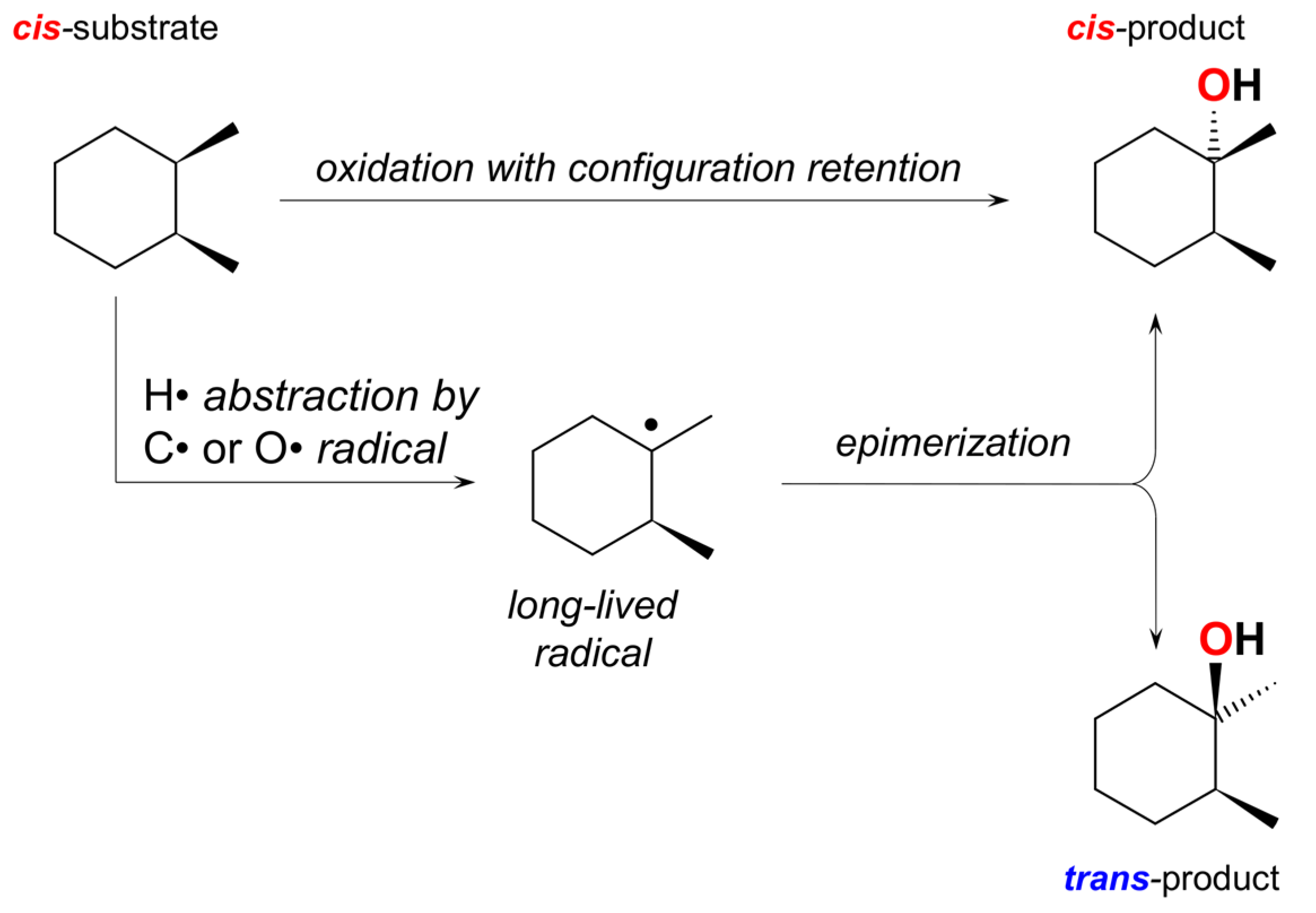 Catalysts 11 01148 sch003 550