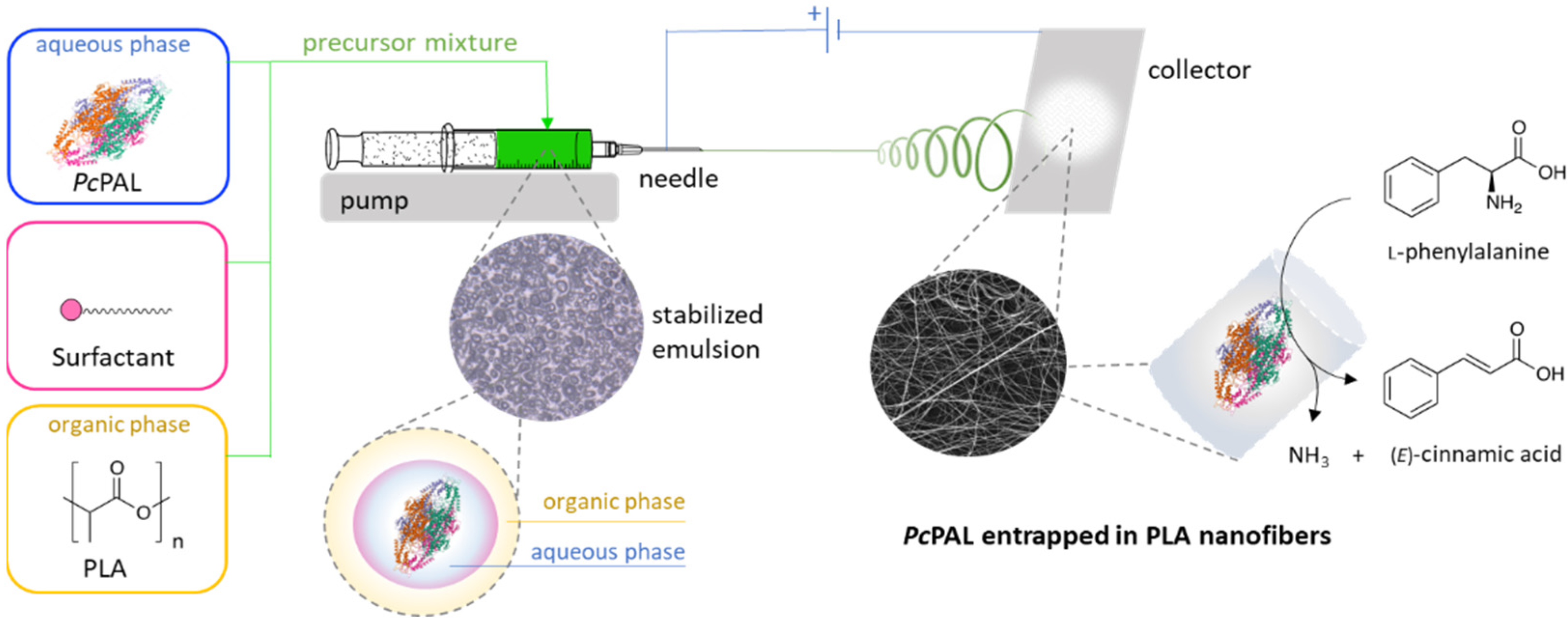 Catalysts 11 01149 g002 550